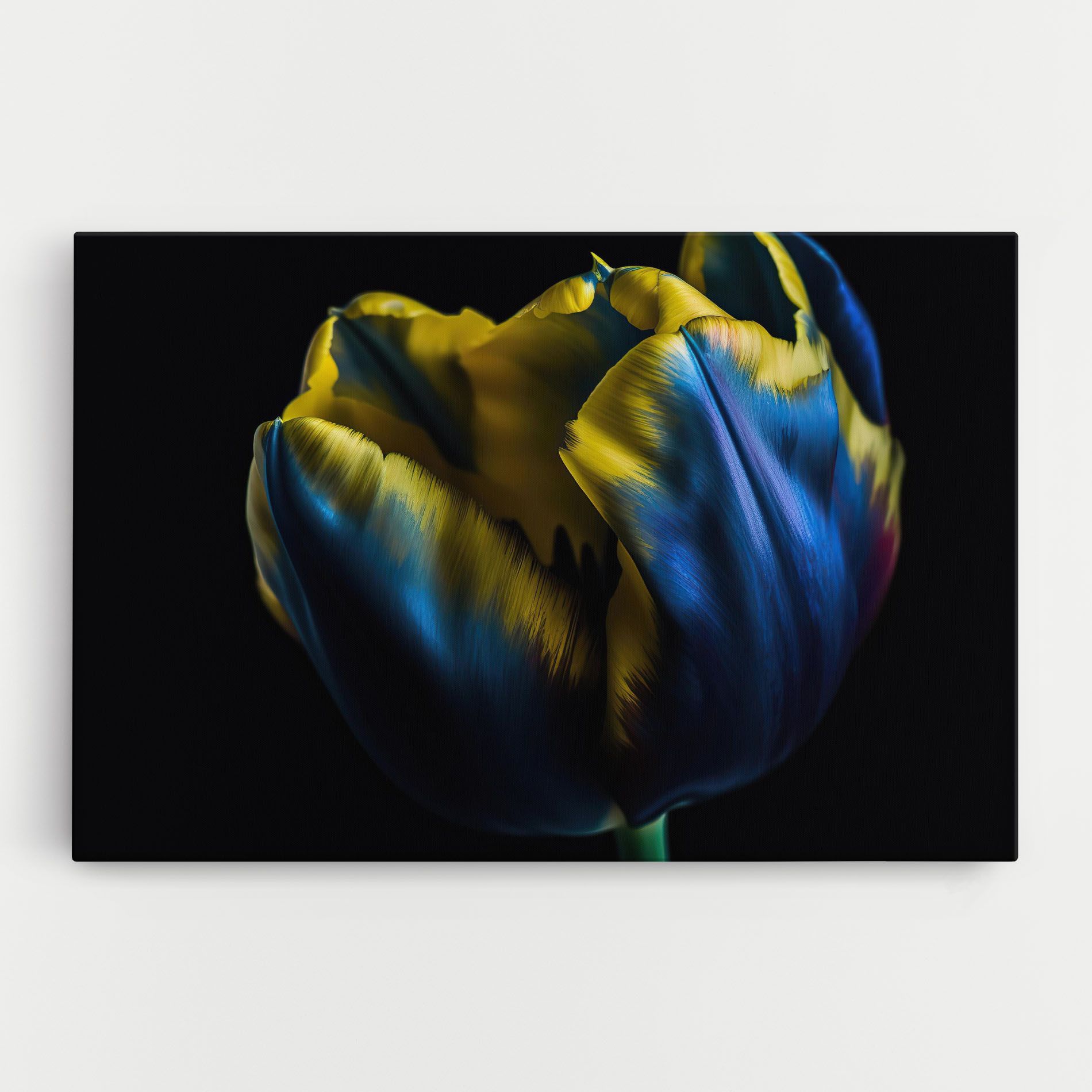 Yellow Blue Tulip mockup 0
