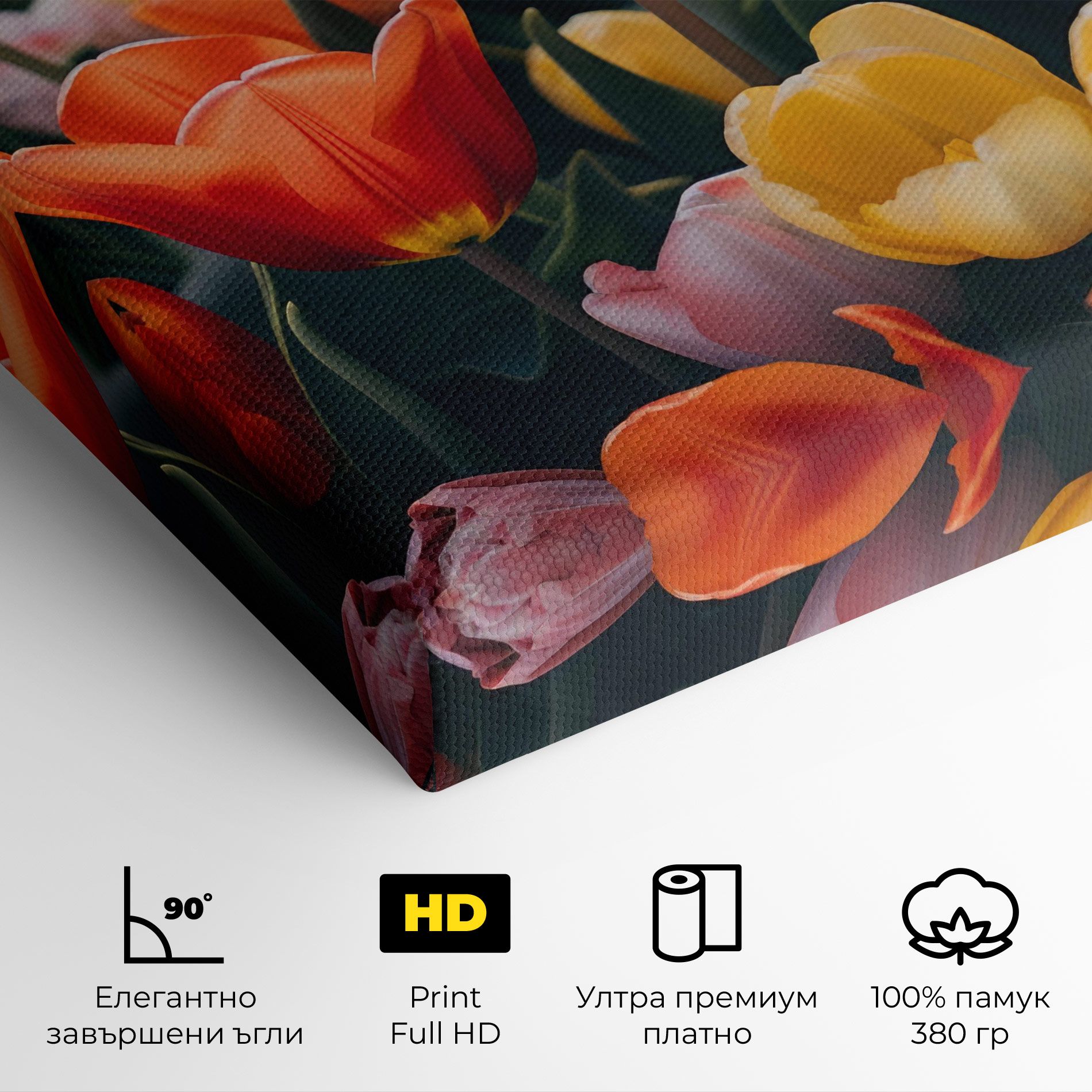 Orange Yellow Tulips mockup 4