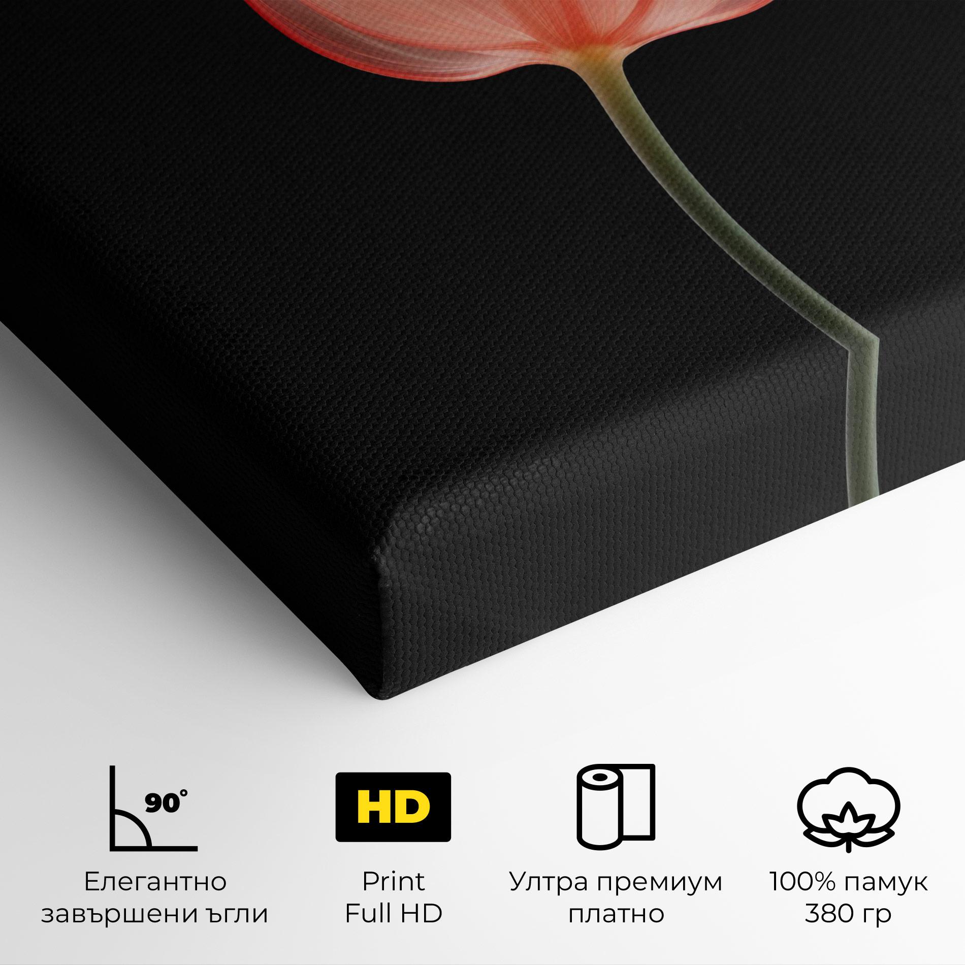 Картина на платно Pastel Pink Tulip mockup 4