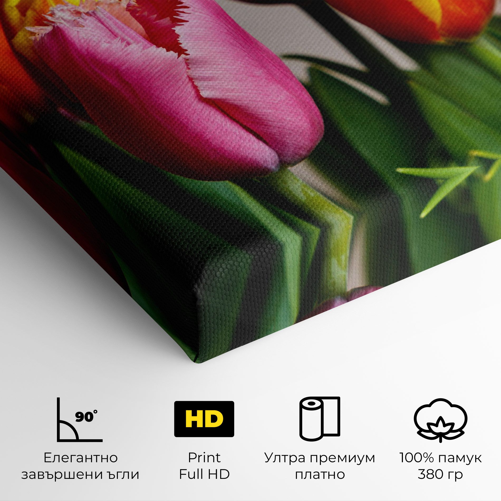 Pink Orange Tulips mockup 4