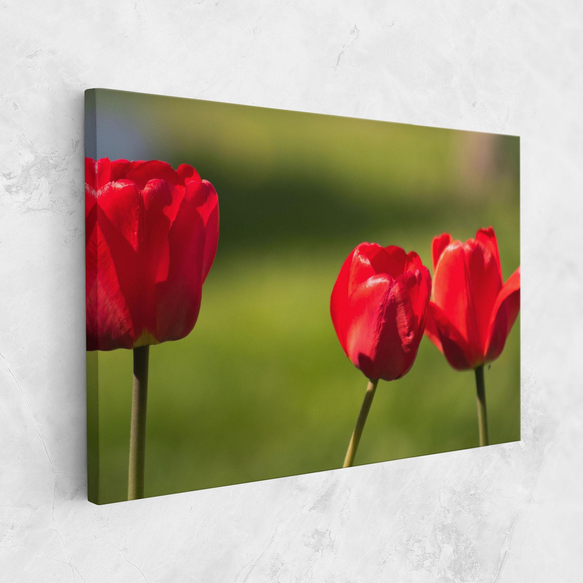 Картина на платно 3 Red Tulips mockup 1