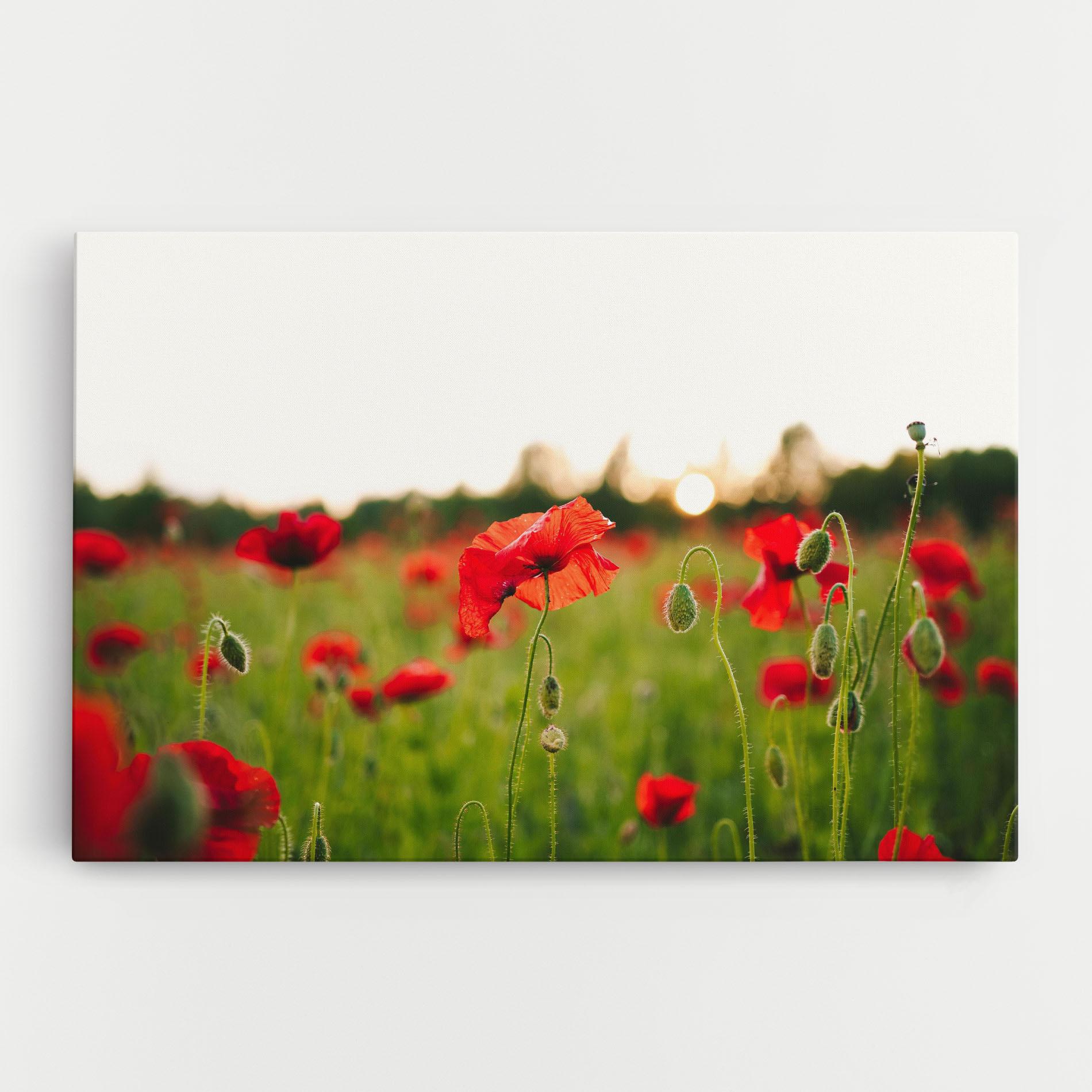 Картина на платно Poppies Field mockup 0