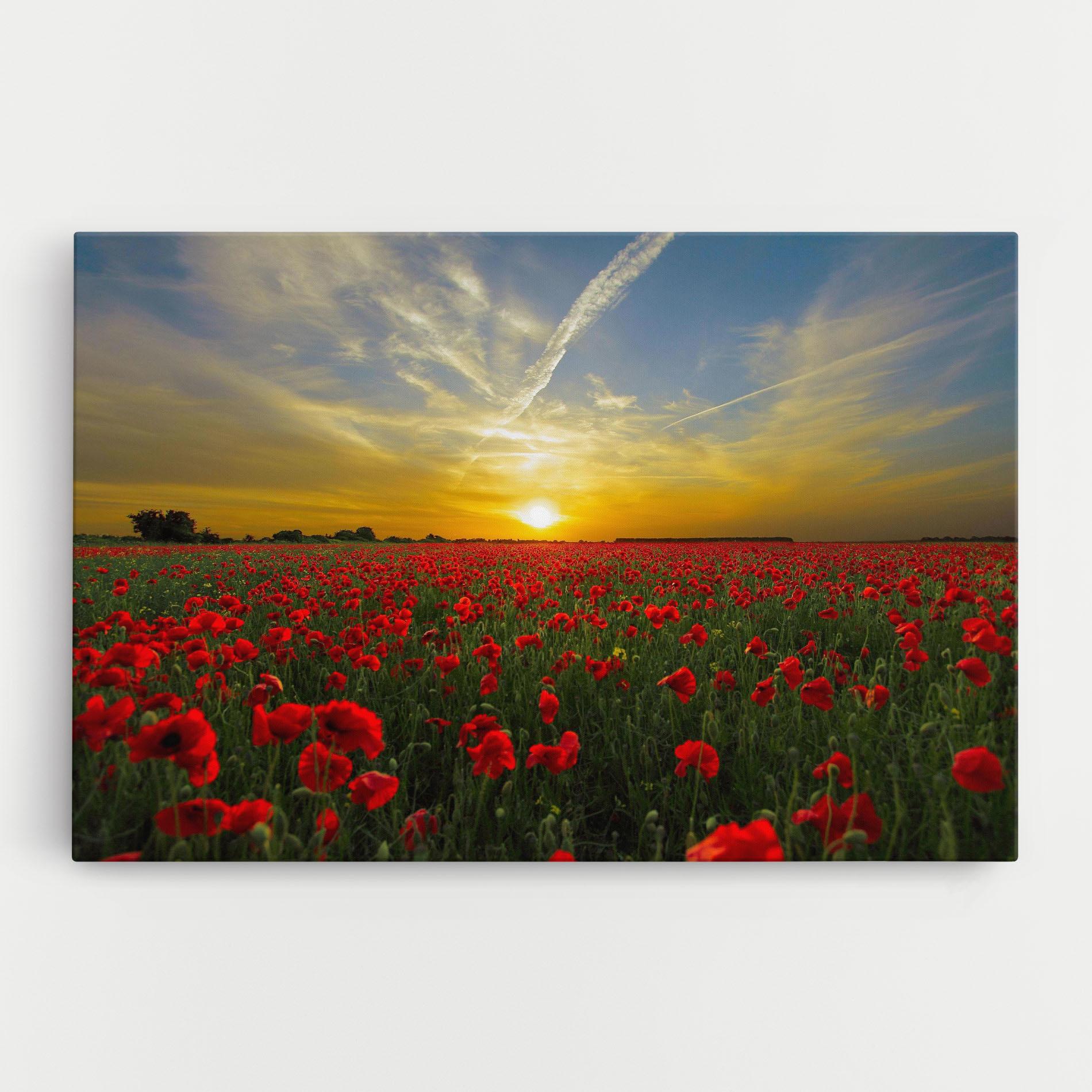 Картина на платно Poppies Sunset mockup 0