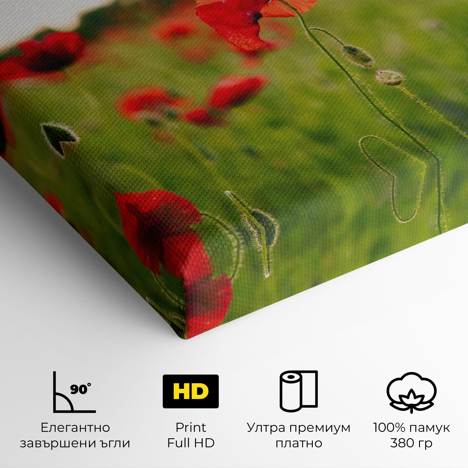 Картина на платно Poppies Field mockup 4