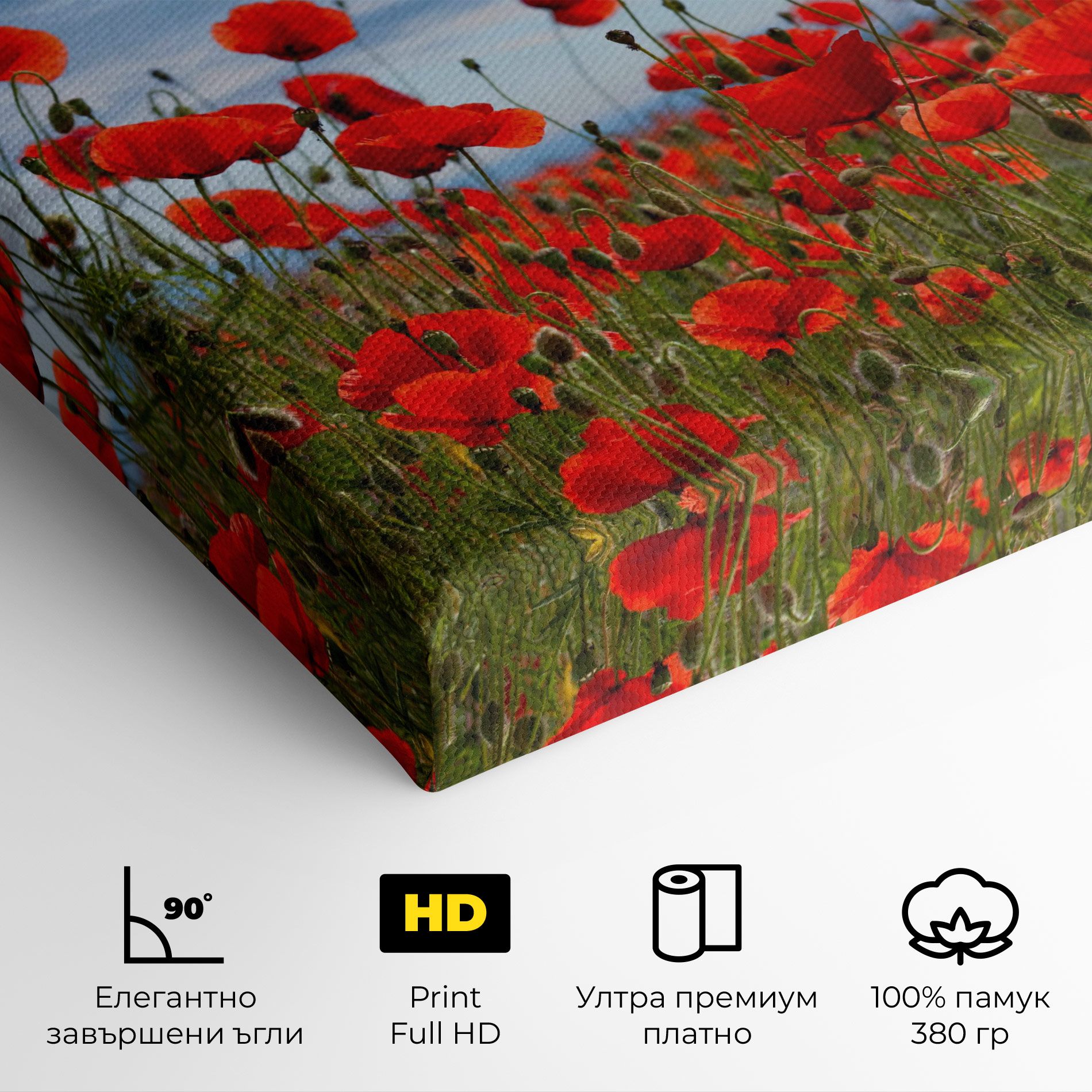 Poppy Field mockup 4