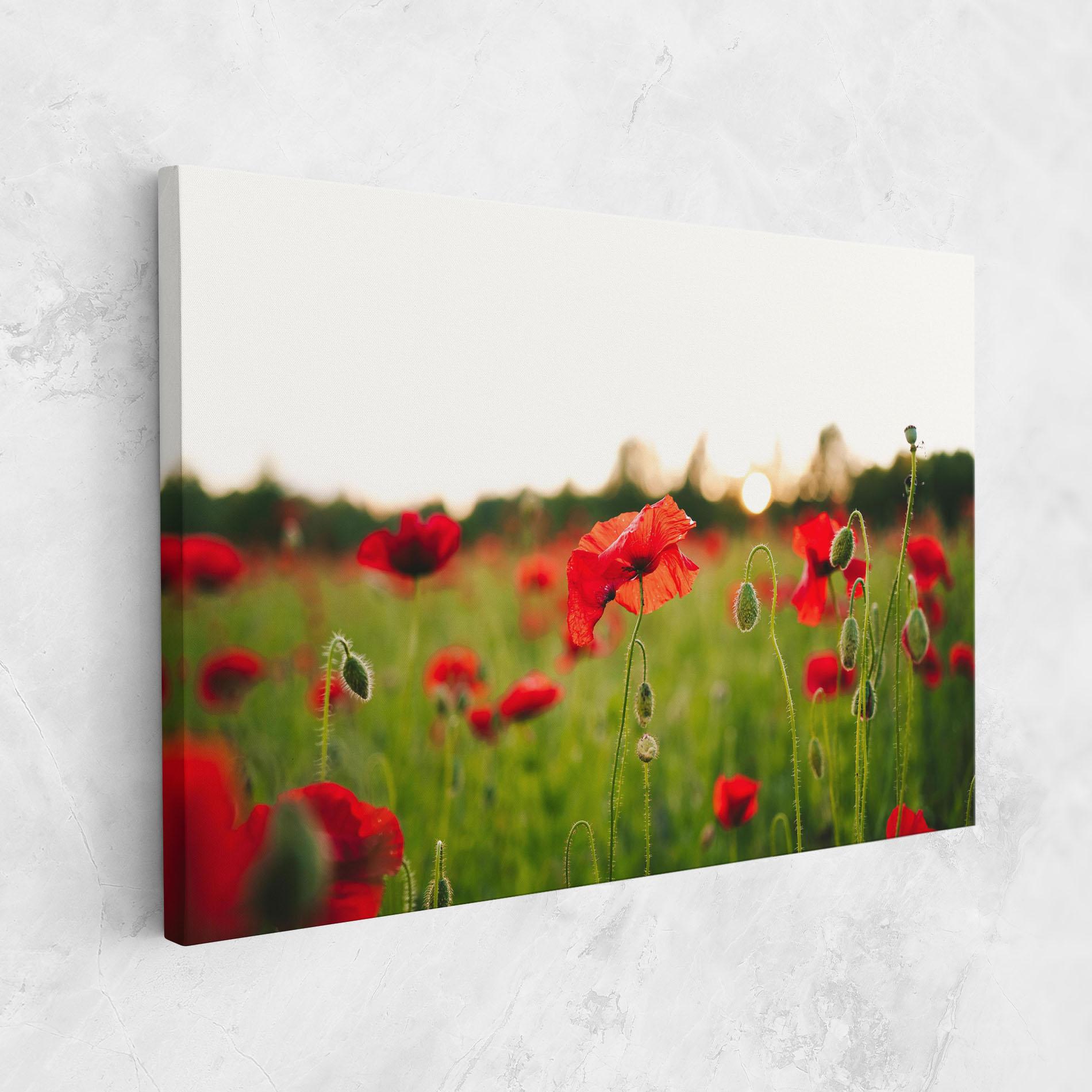 Картина на платно Poppies Field mockup 1