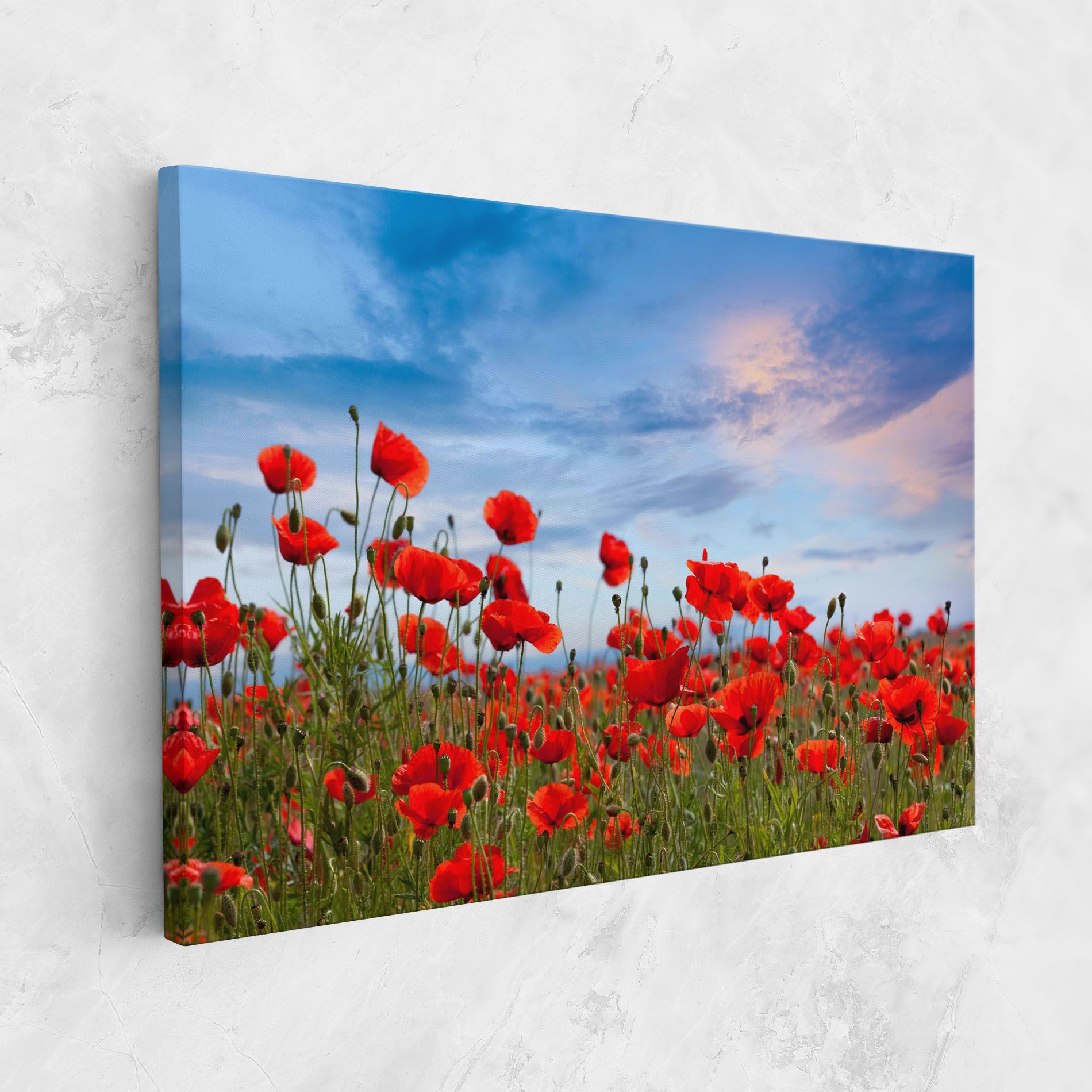 Poppy Field mockup 1