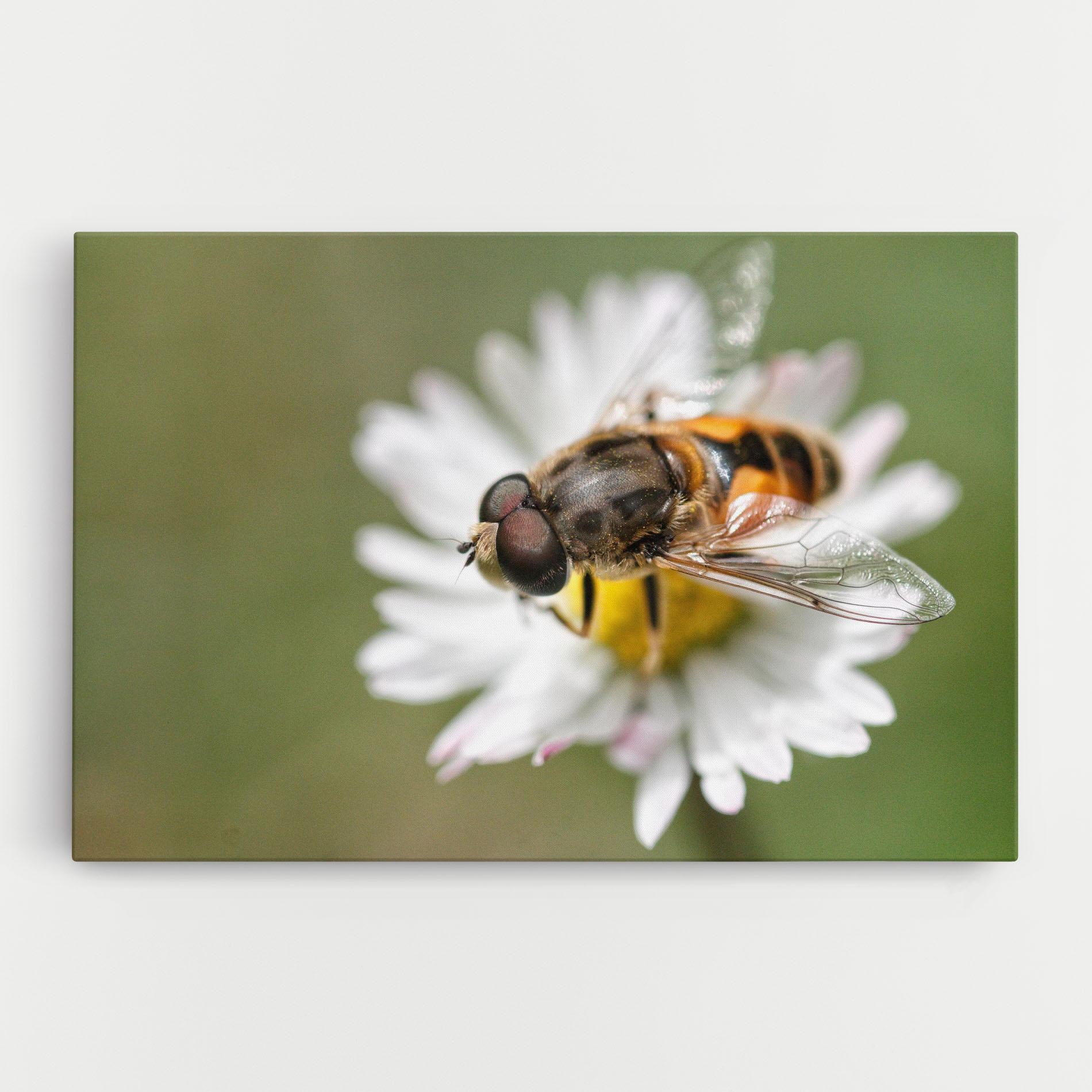Картина на платно Bee On Small Daisy mockup 0