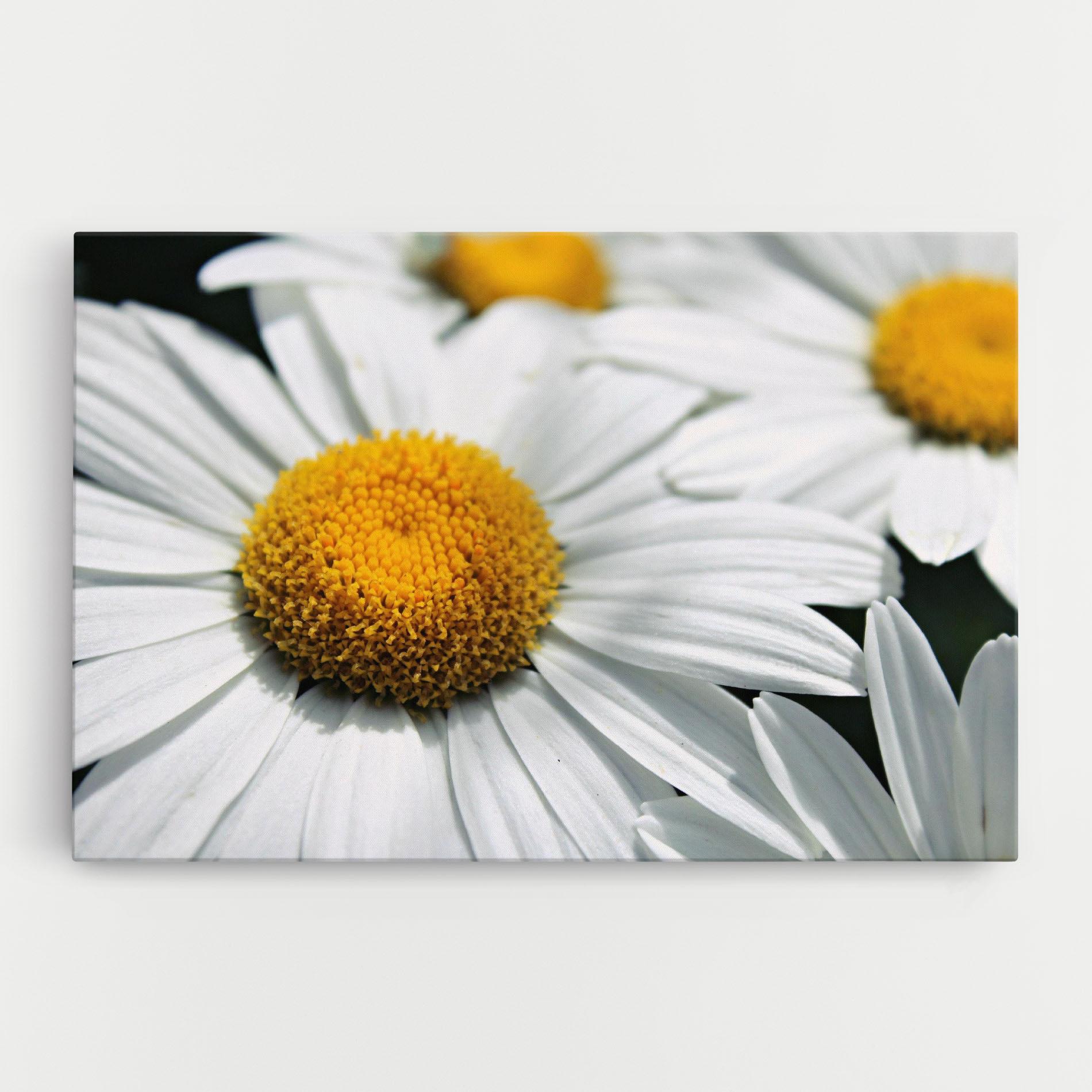 Картина на платно Big Daisies mockup 0