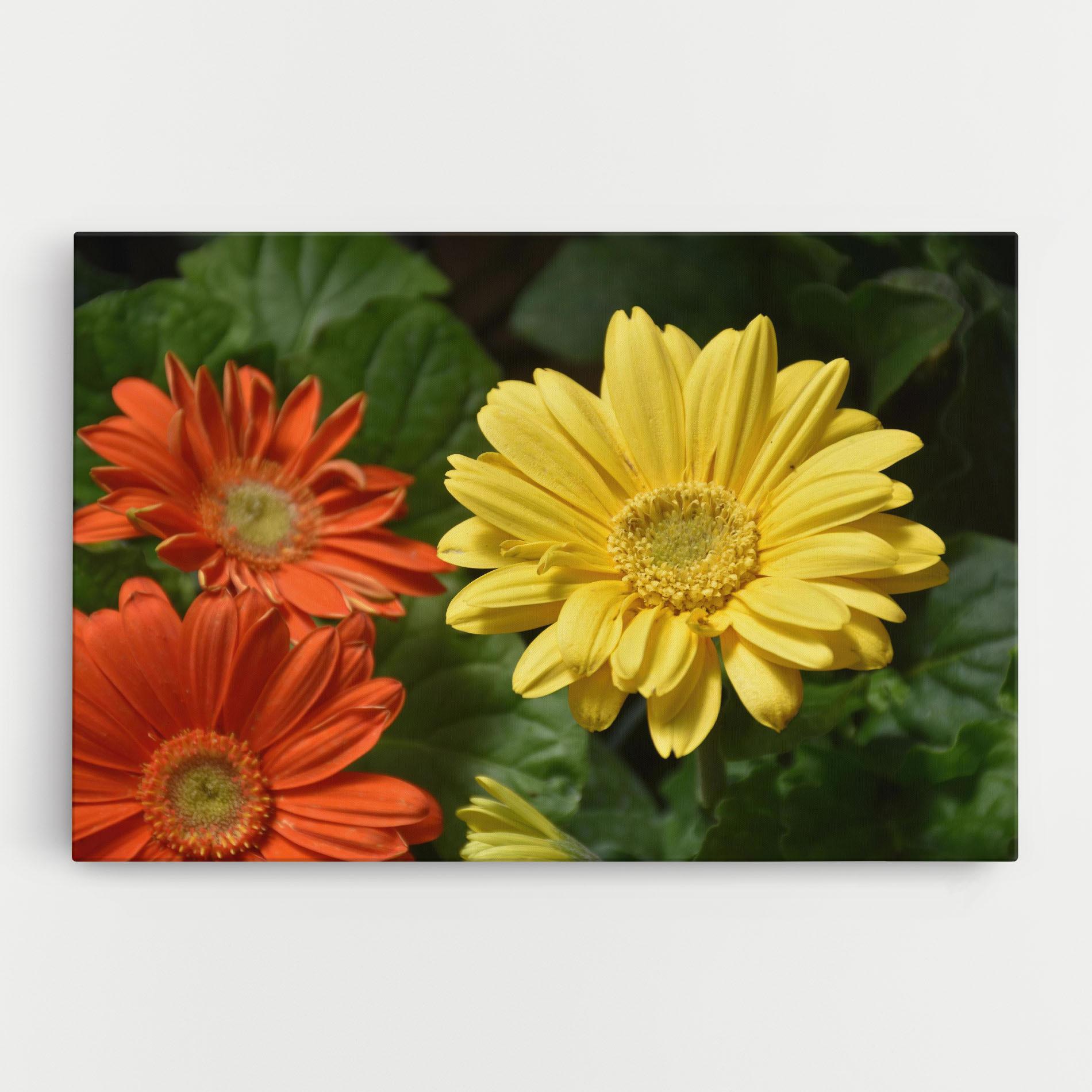 Картина на платно Orange Yellow Daisy mockup 0