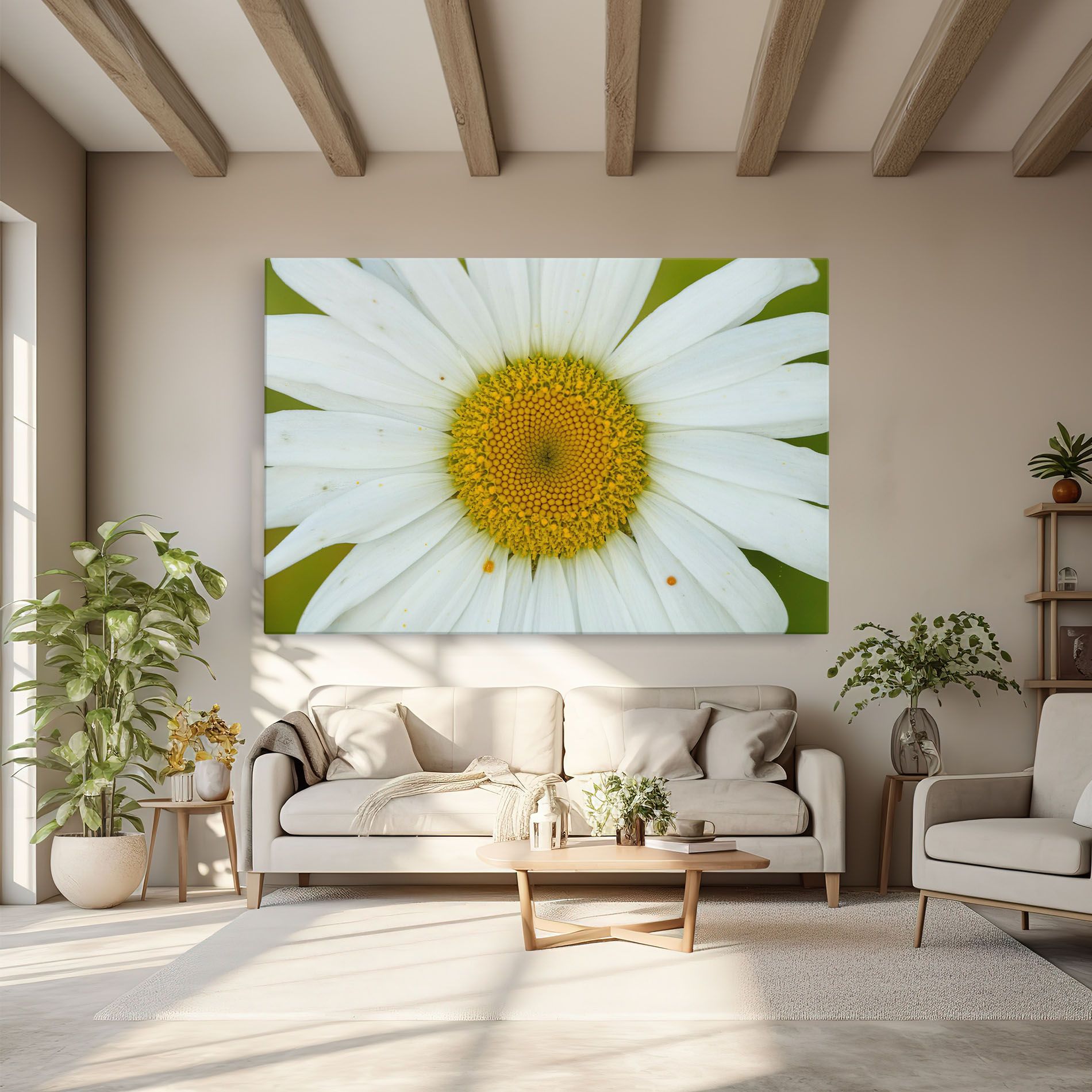 Daisy Close Up mockup 6