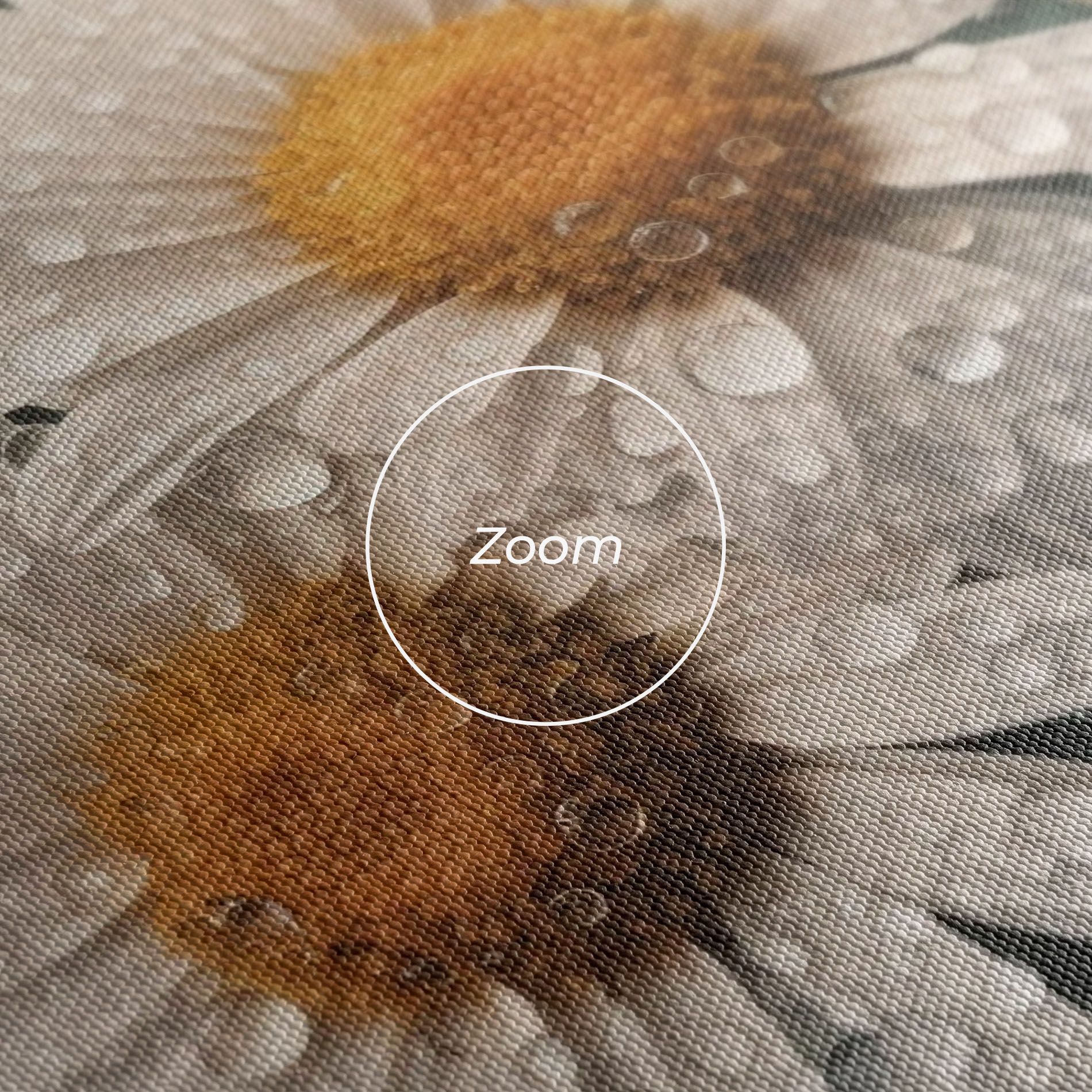 Daisy View After Rain mockup 3