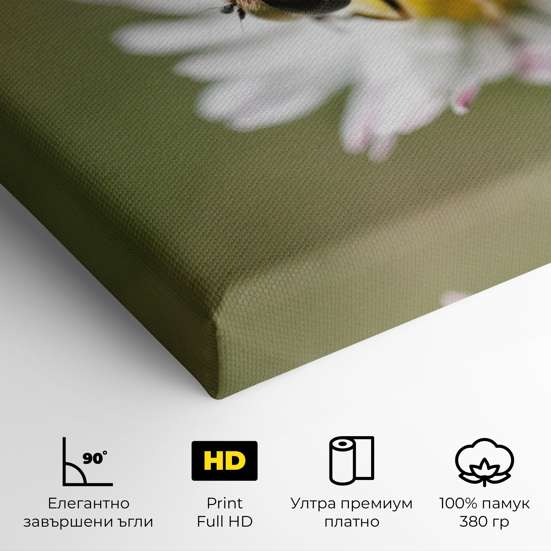 Bee On Small Daisy mockup 4