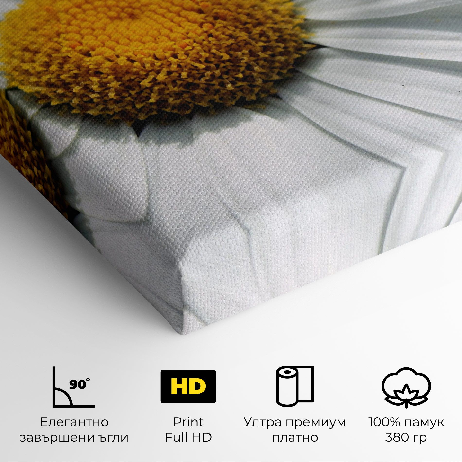 Big Daisies mockup 4