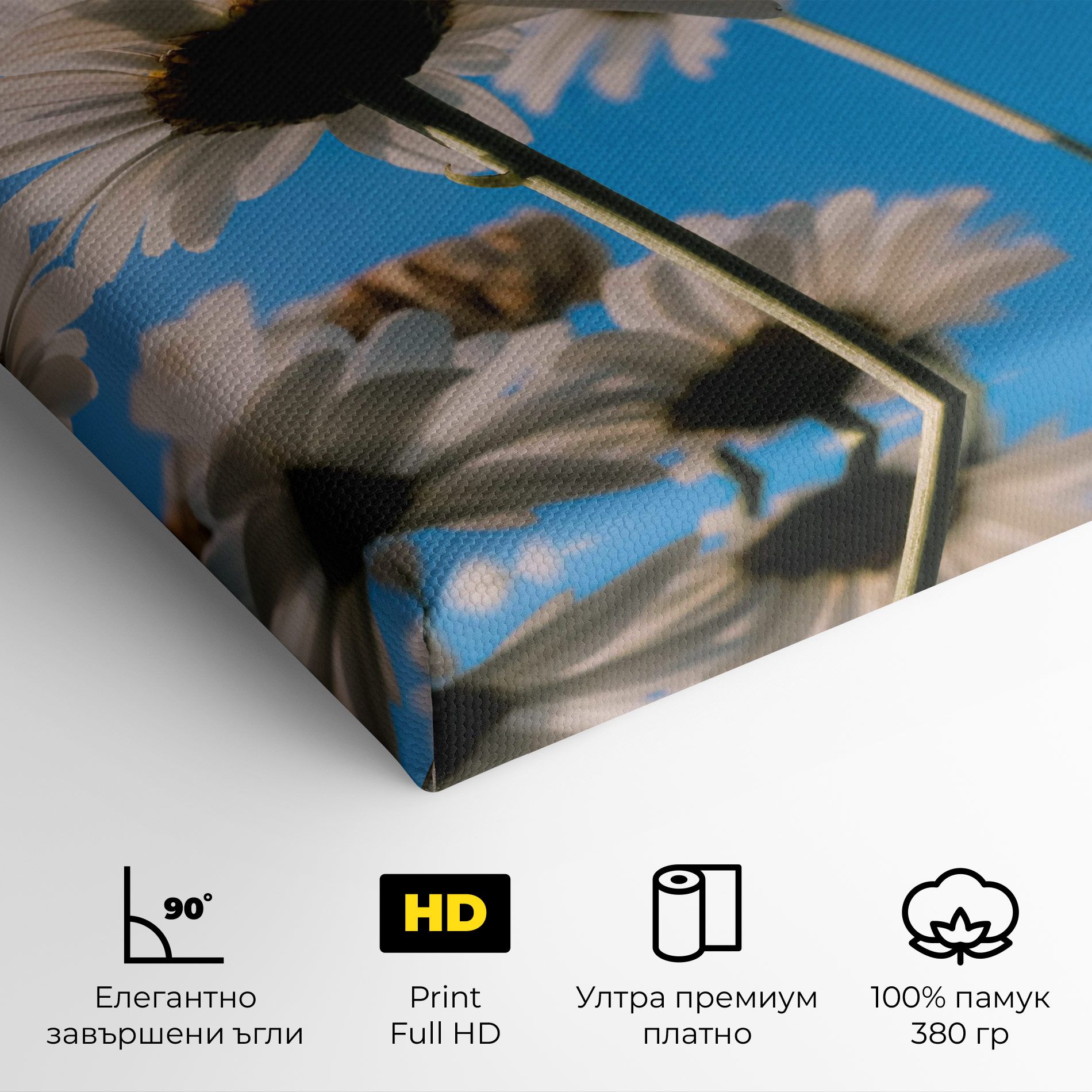 Blue Sky Daisy mockup 4
