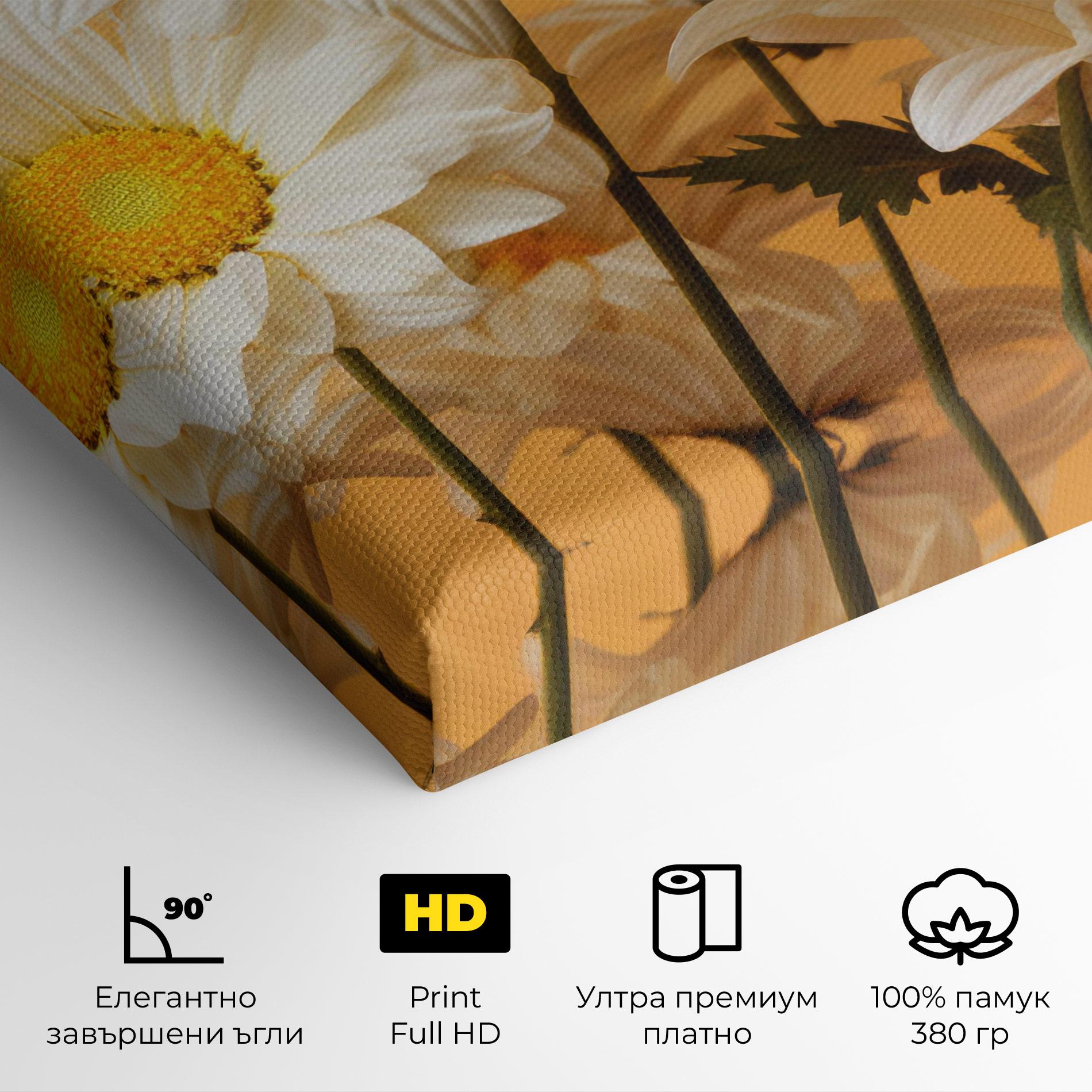 Картина на платно Daisy On Orange mockup 4
