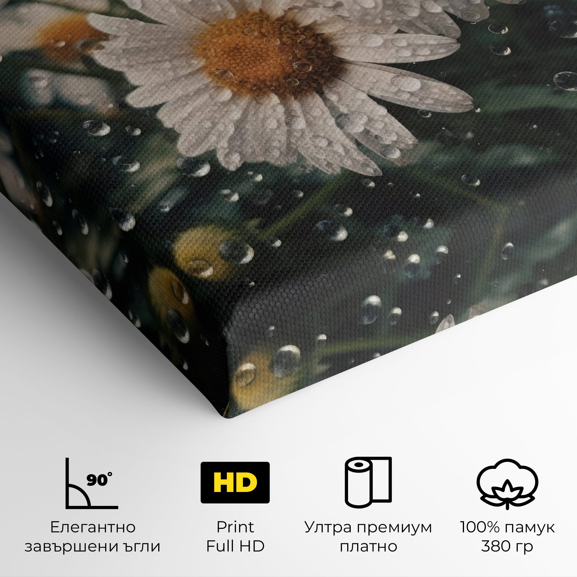 Daisy View After Rain mockup 4