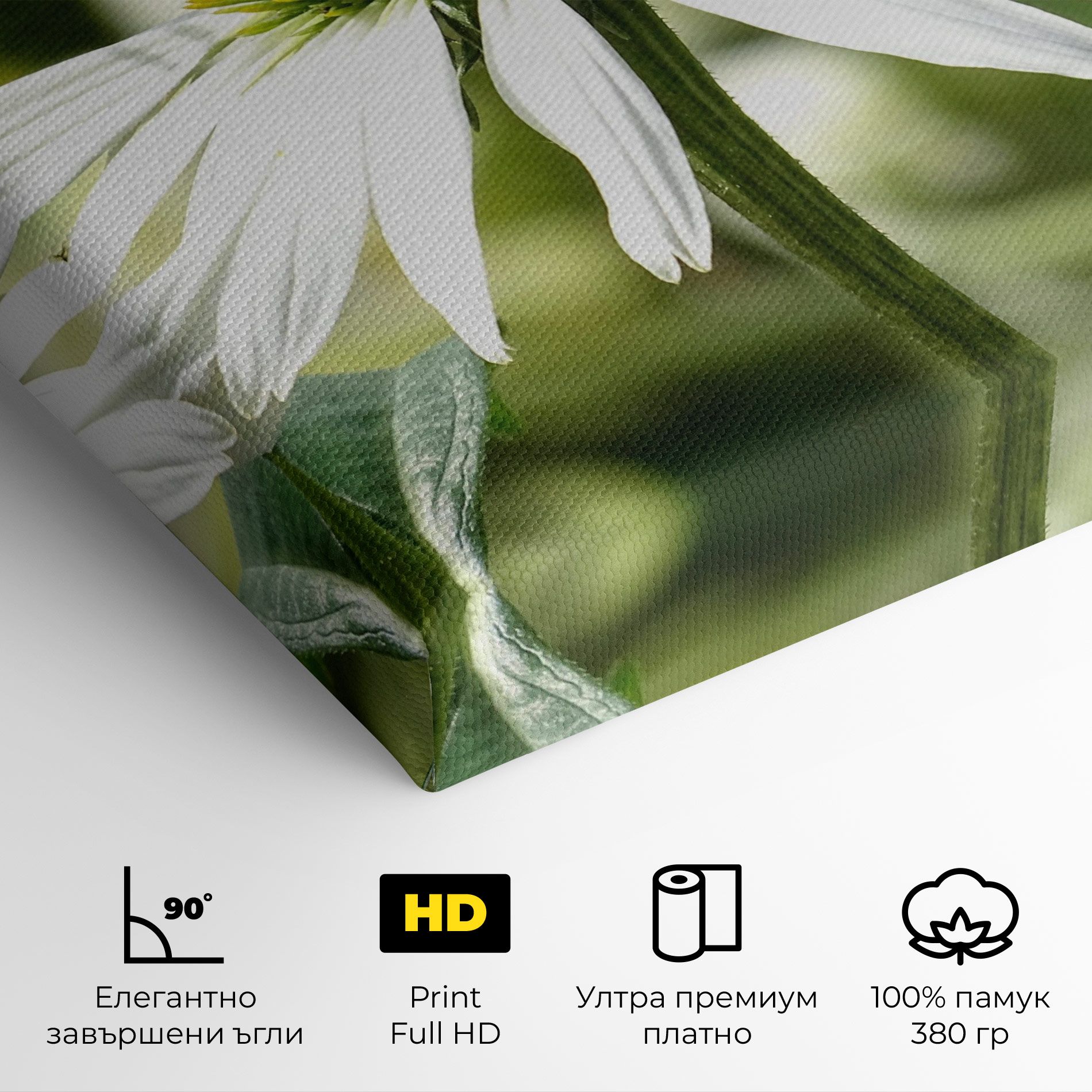 Green Daisy mockup 4