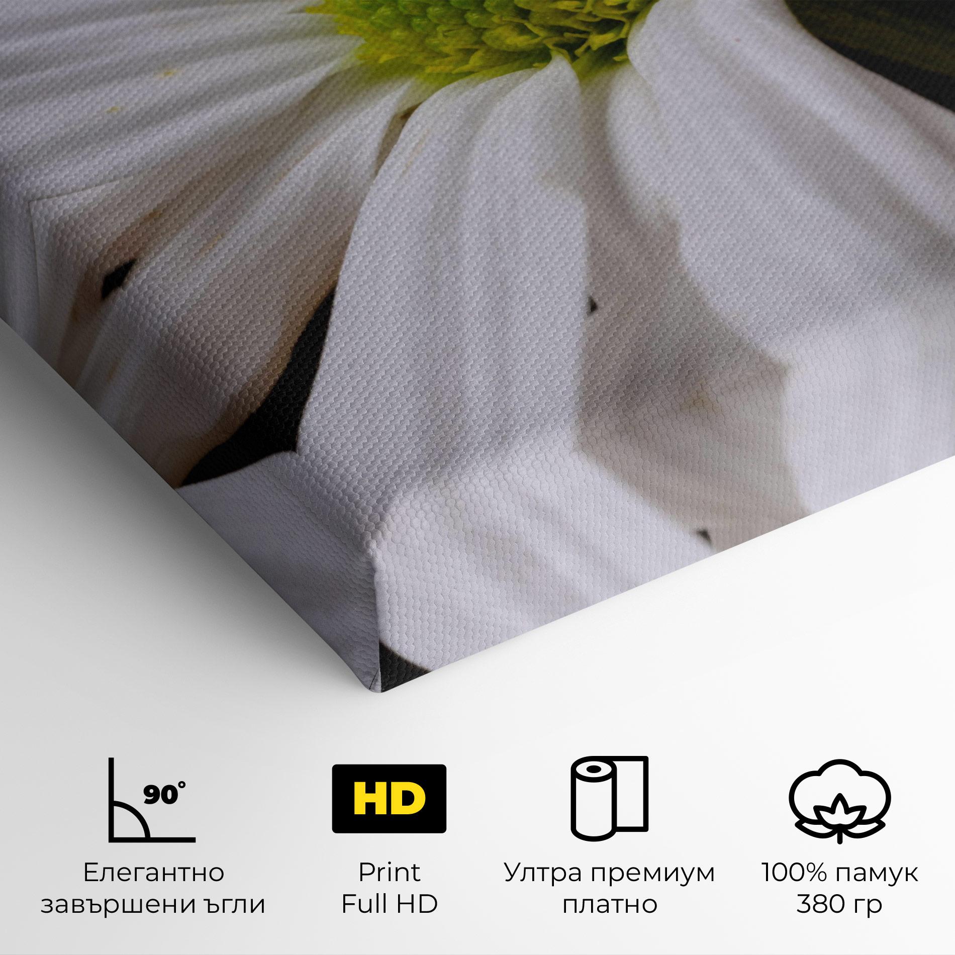 Картина на платно Green Middle Daisy mockup 4