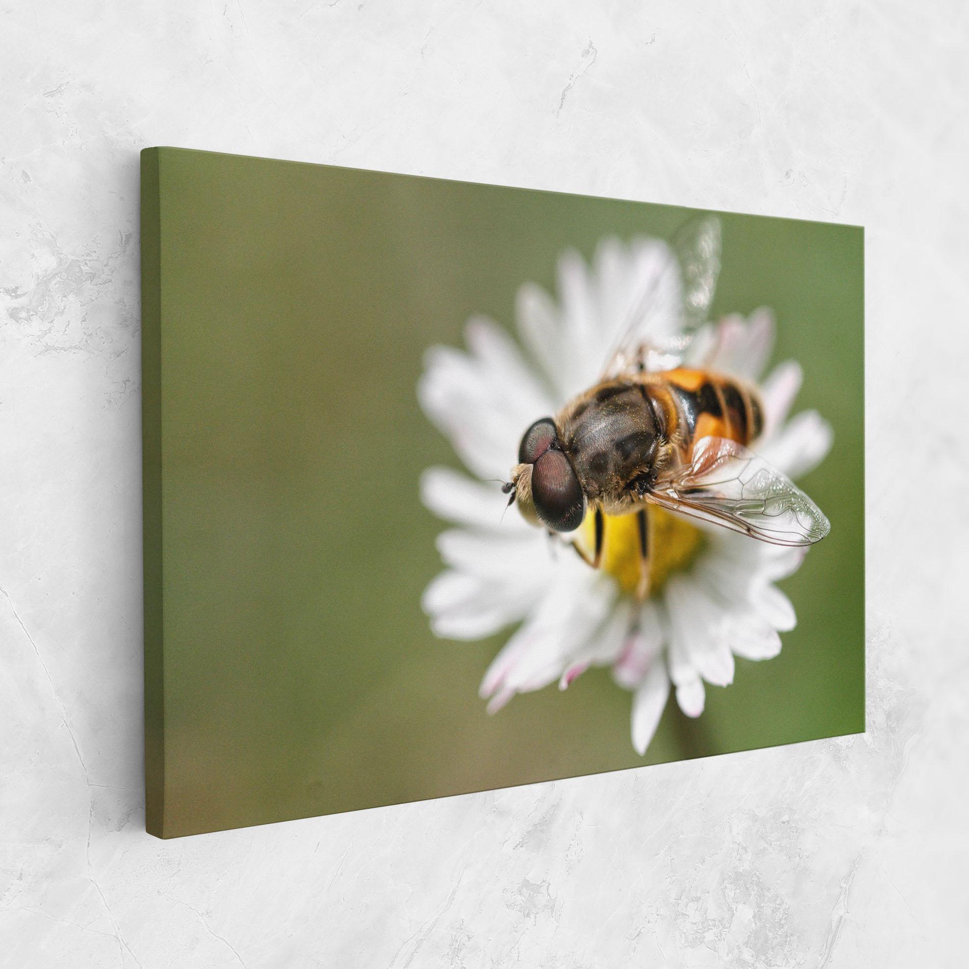 Картина на платно Bee On Small Daisy mockup 1