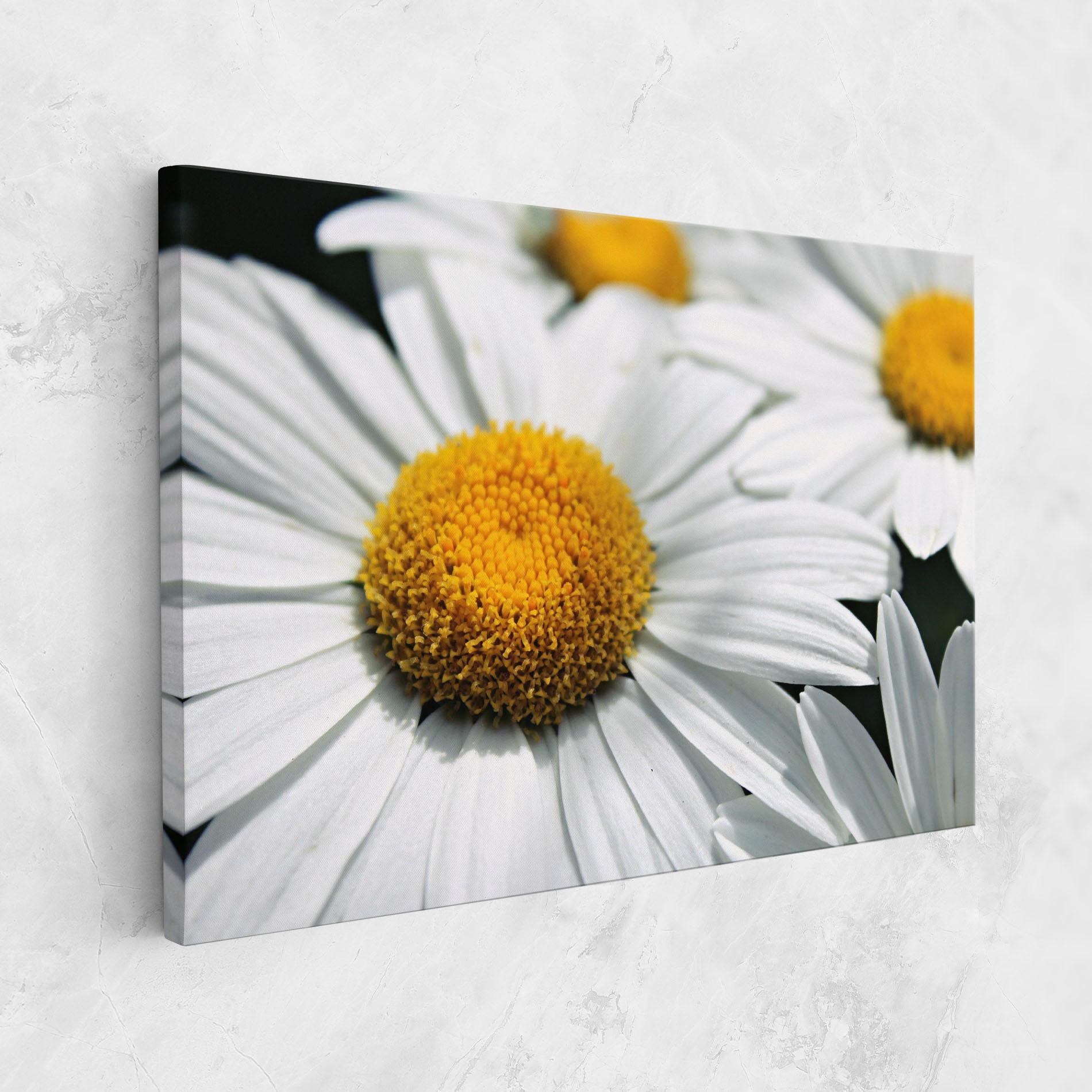 Картина на платно Big Daisies mockup 1