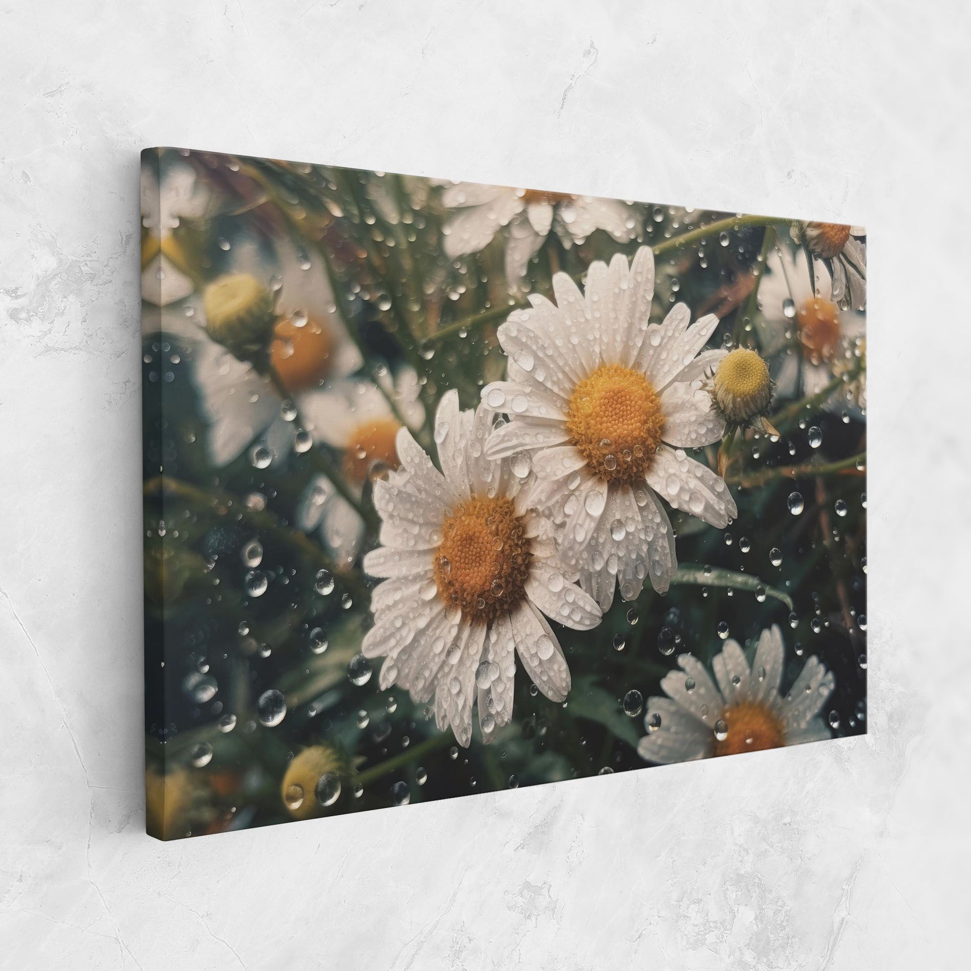 Daisy View After Rain mockup 1