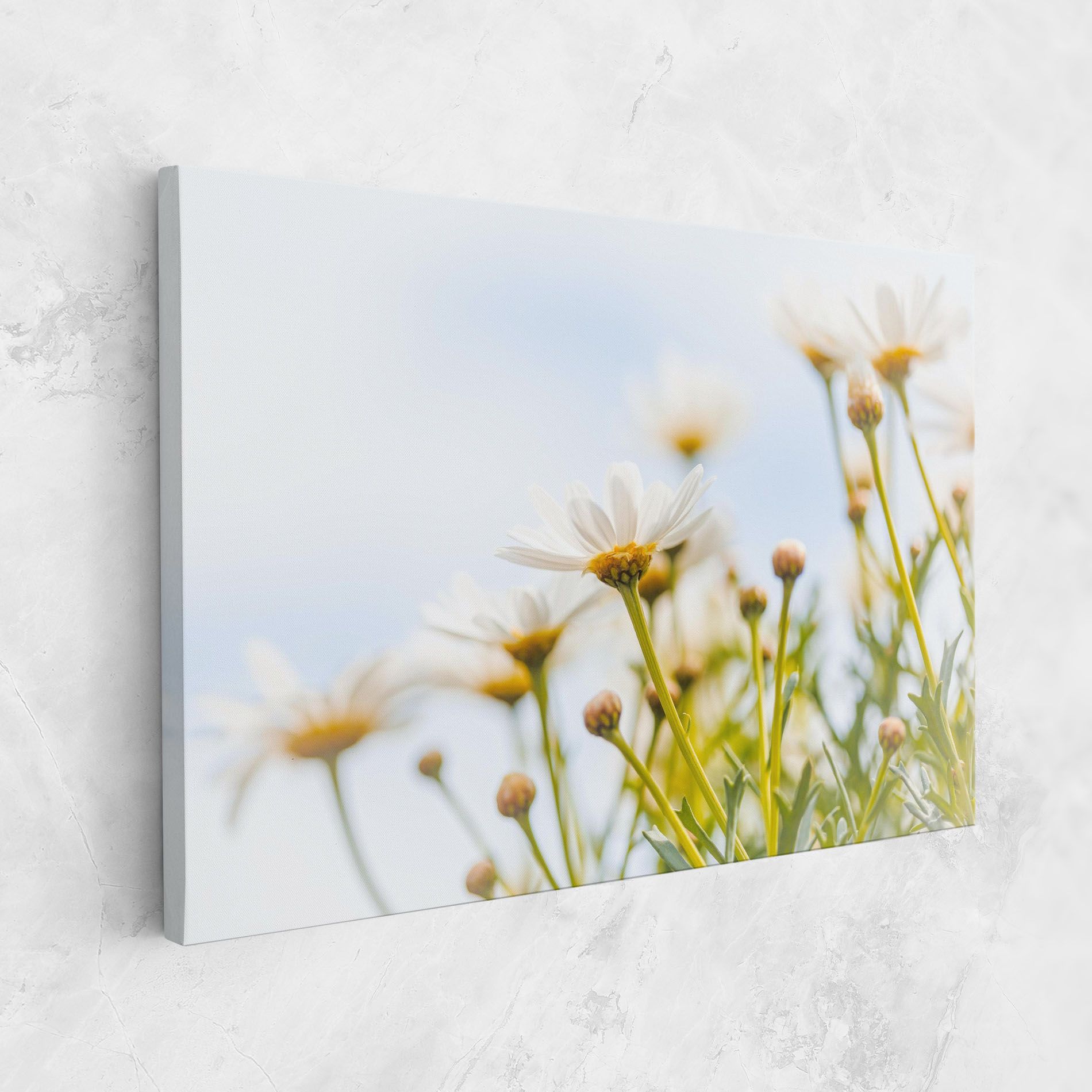 Dreamy Daisy mockup 1