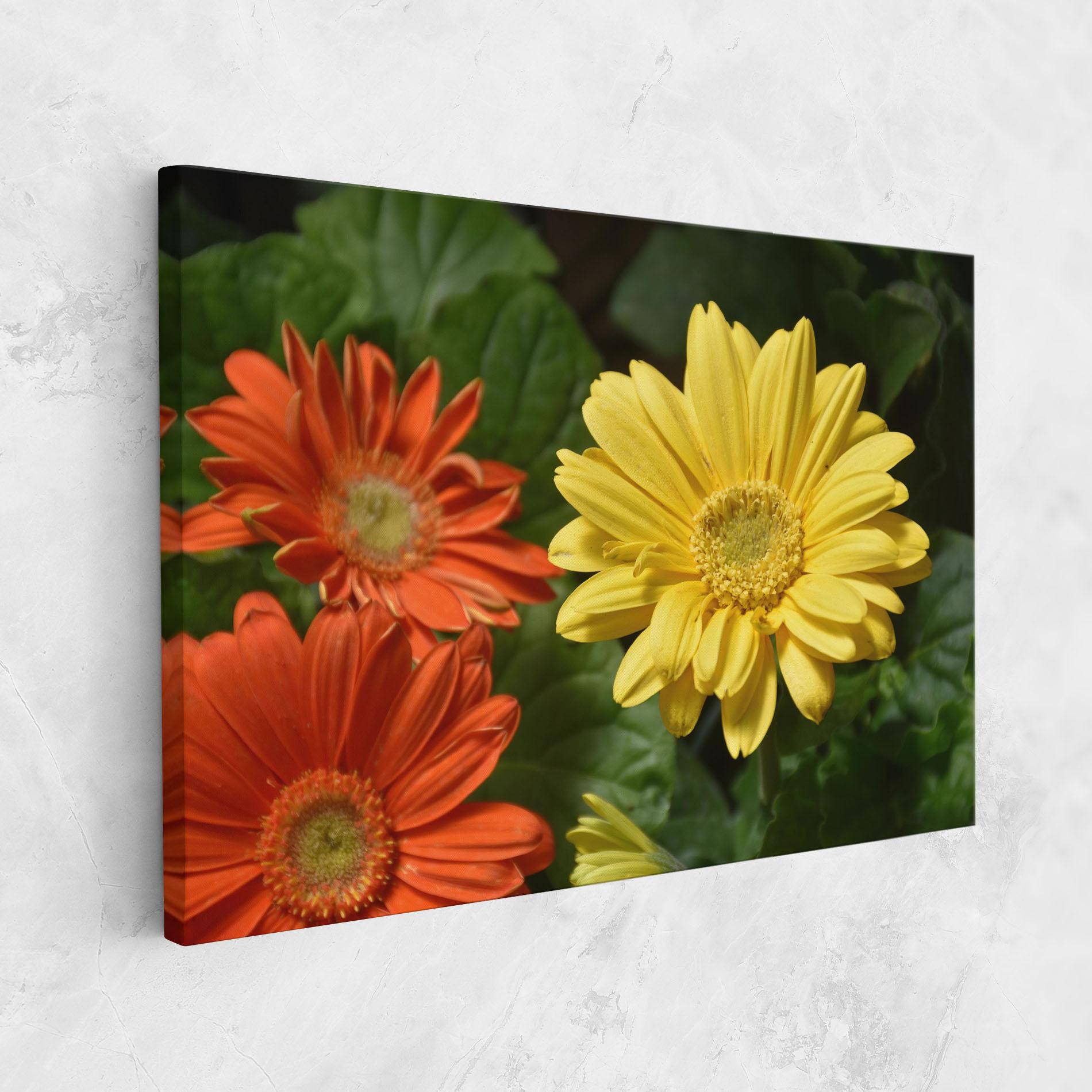 Картина на платно Orange Yellow Daisy mockup 1