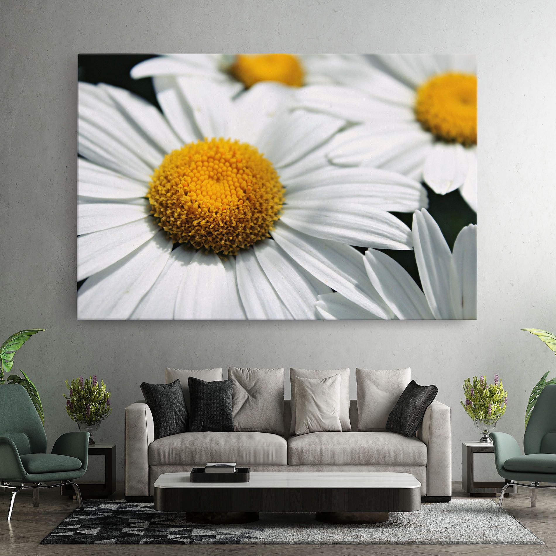 Big Daisies mockup 7