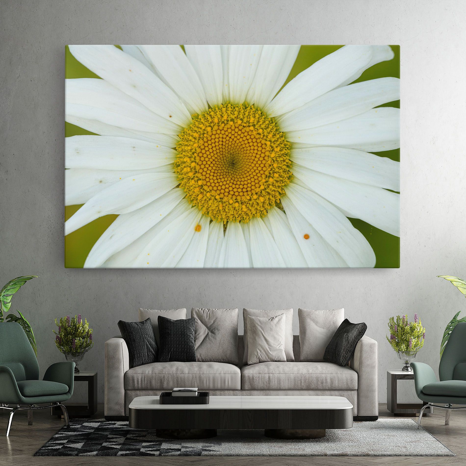 Daisy Close Up mockup 7