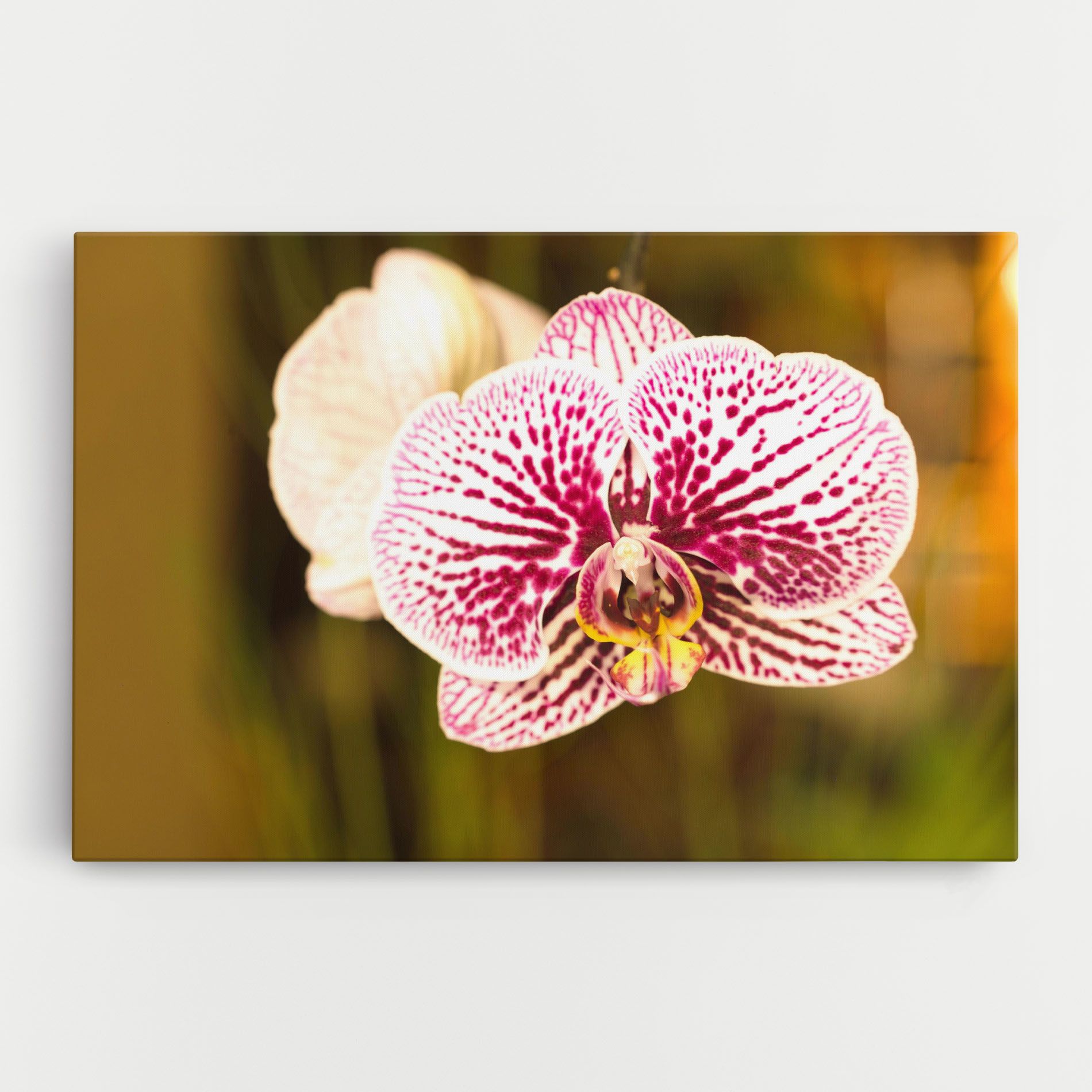 Garden Orchids mockup 0