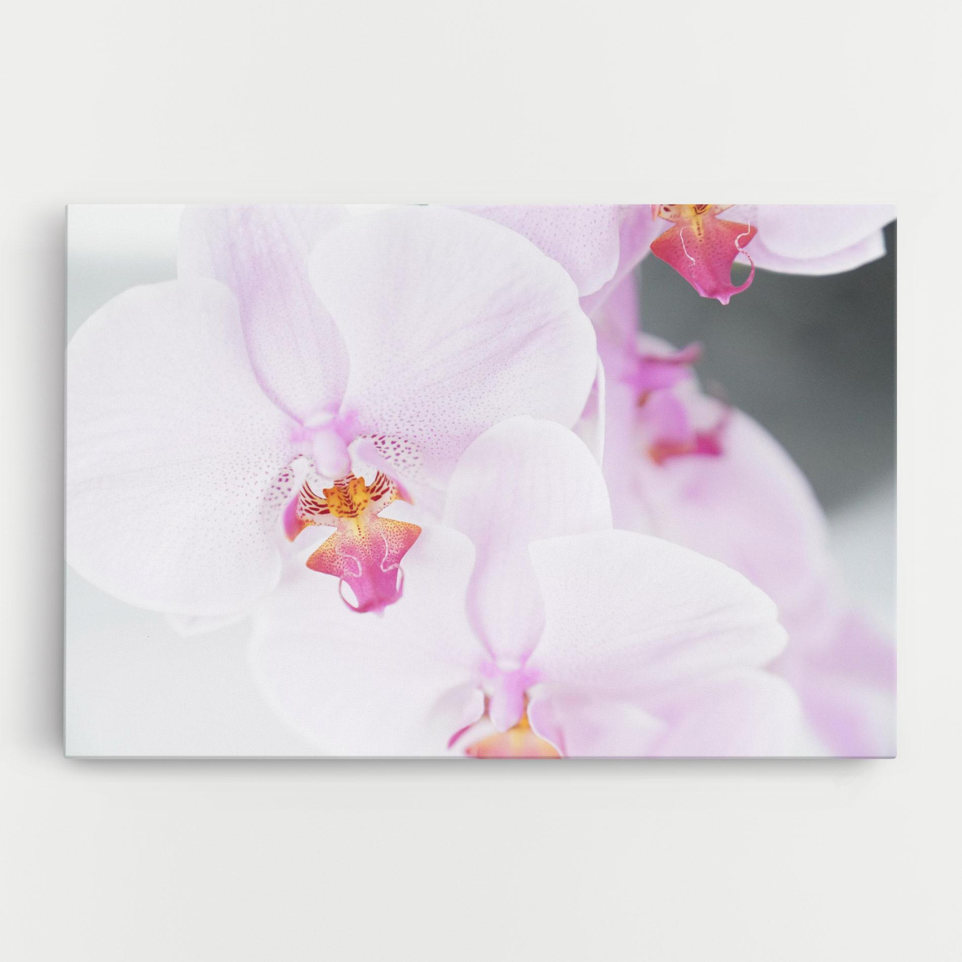 Картина на платно Light Purple Orchid mockup 0