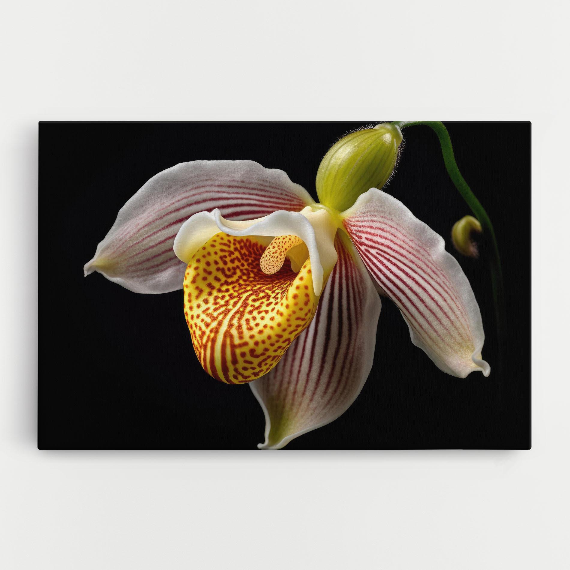 Картина на платно Orchid On Black mockup 0