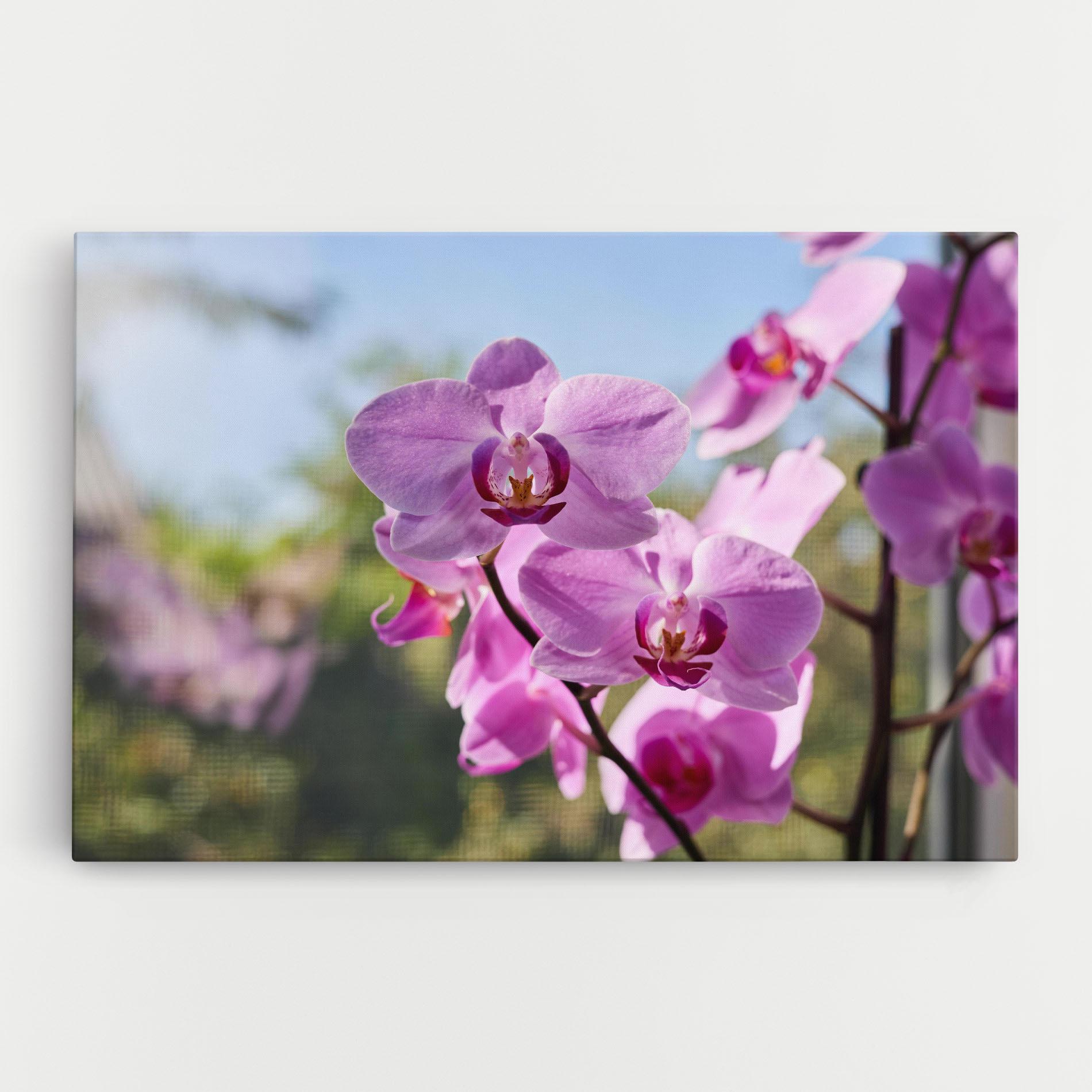 Картина на платно Orchids In The Garden mockup 0