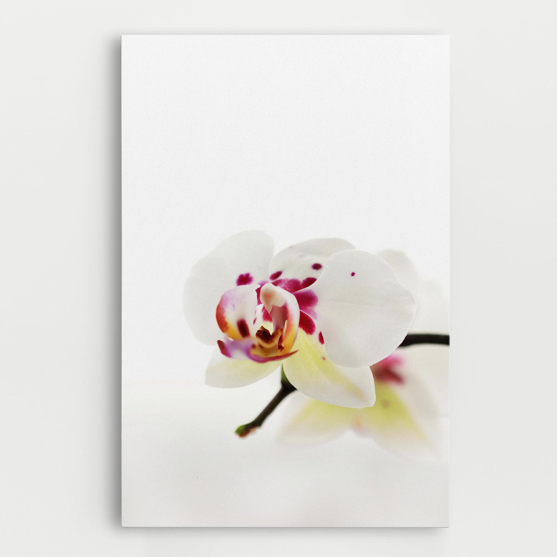 Картина на платно Clean White Orchid mockup 0
