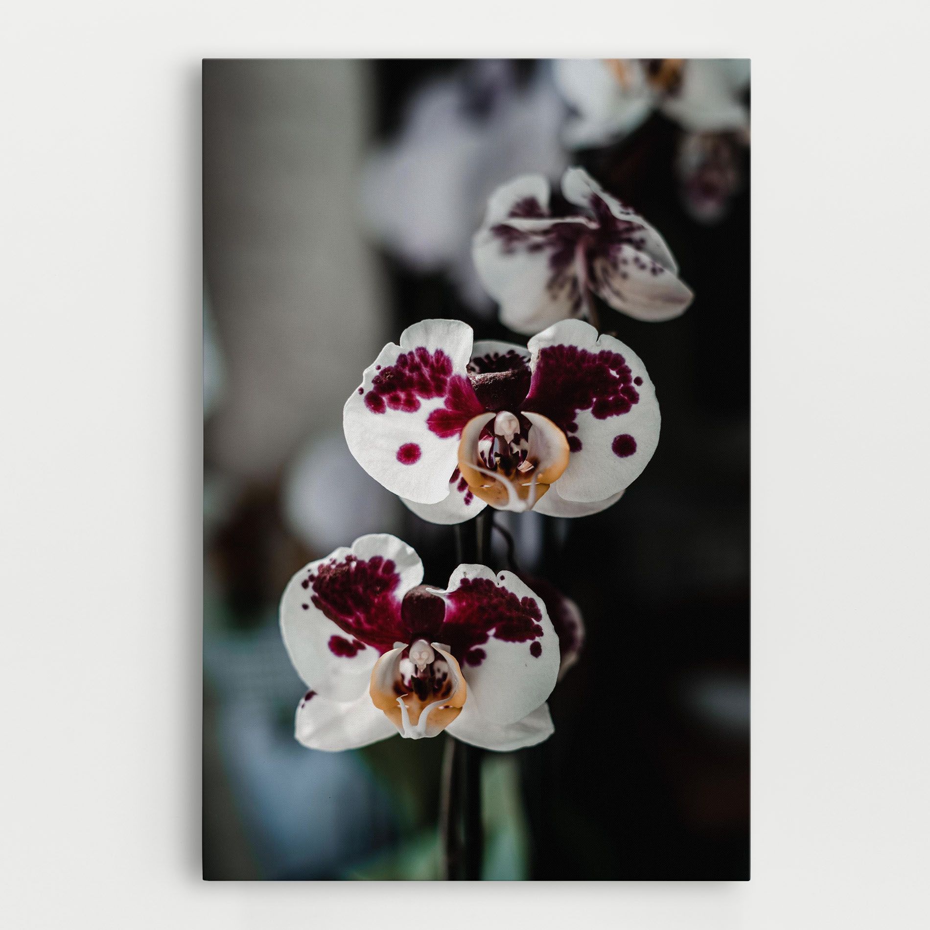 Dark Purple Orchid mockup 0