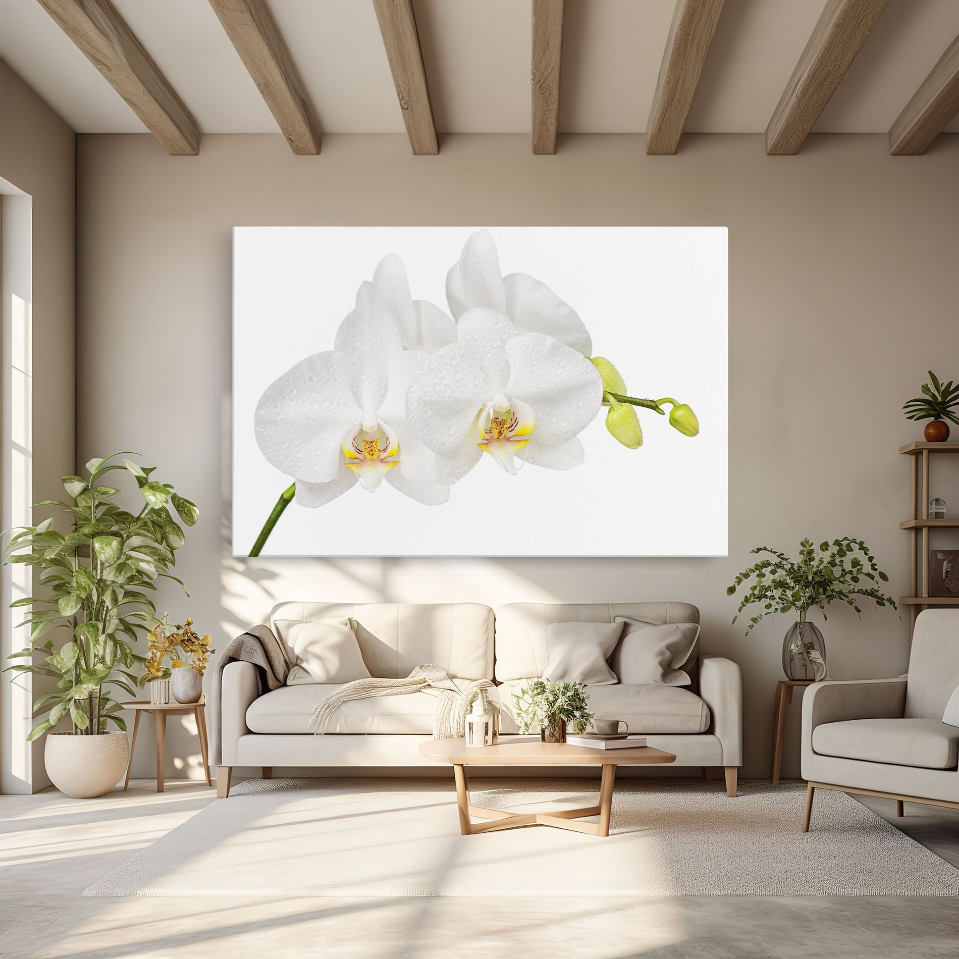 Orchids On White mockup 6