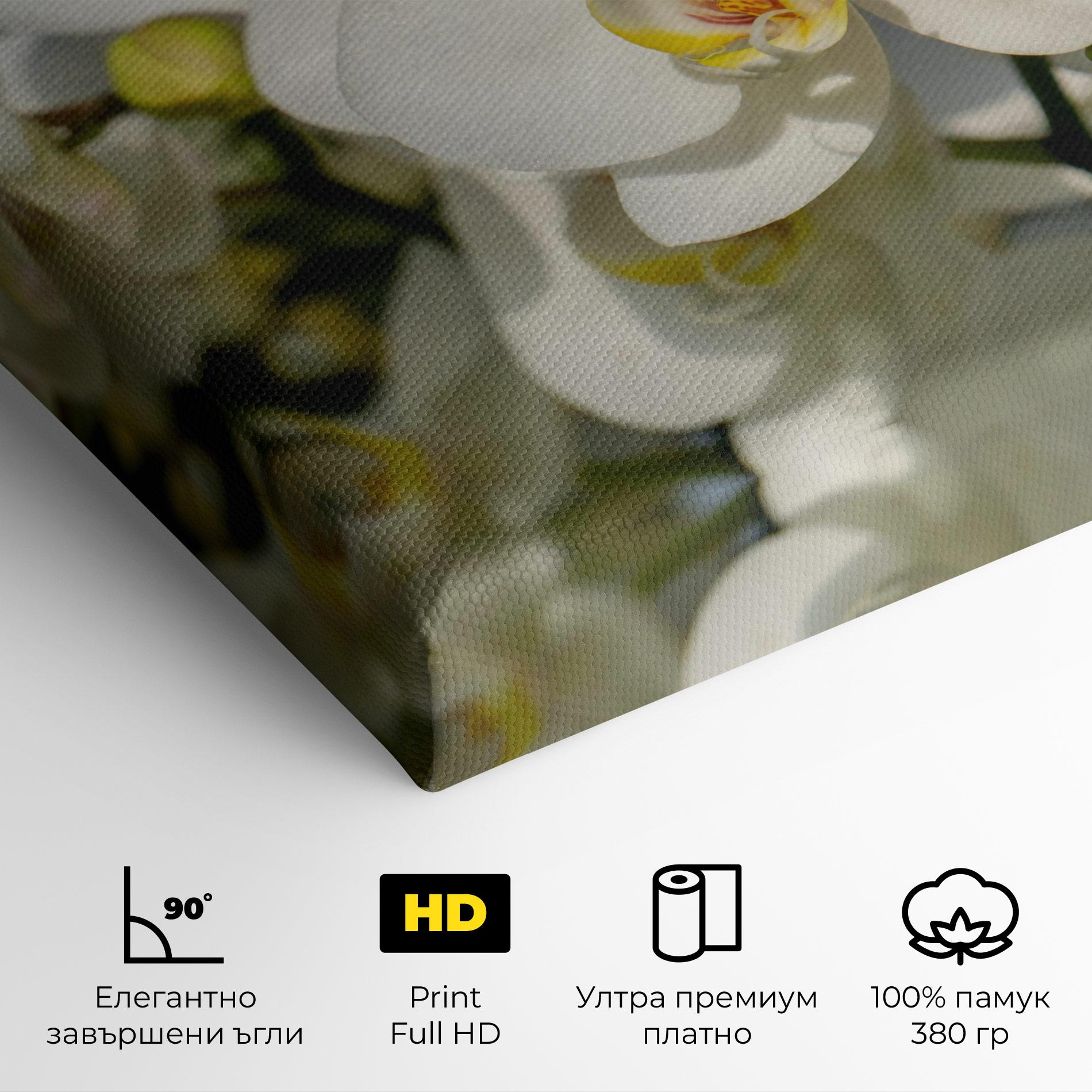 Картина на платно Big Orchids In Nature mockup 4