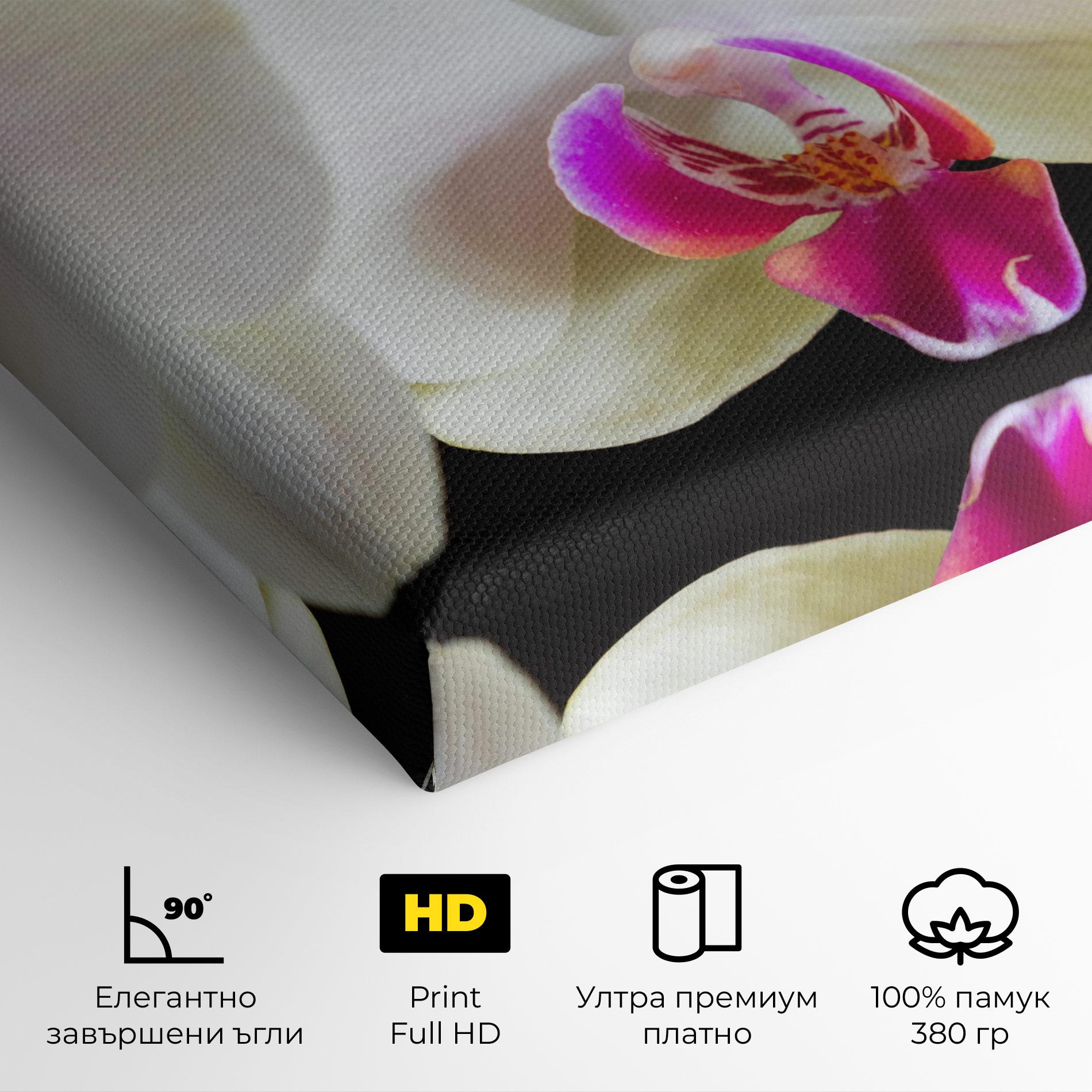 Картина на платно Cream Purple Orchids mockup 4