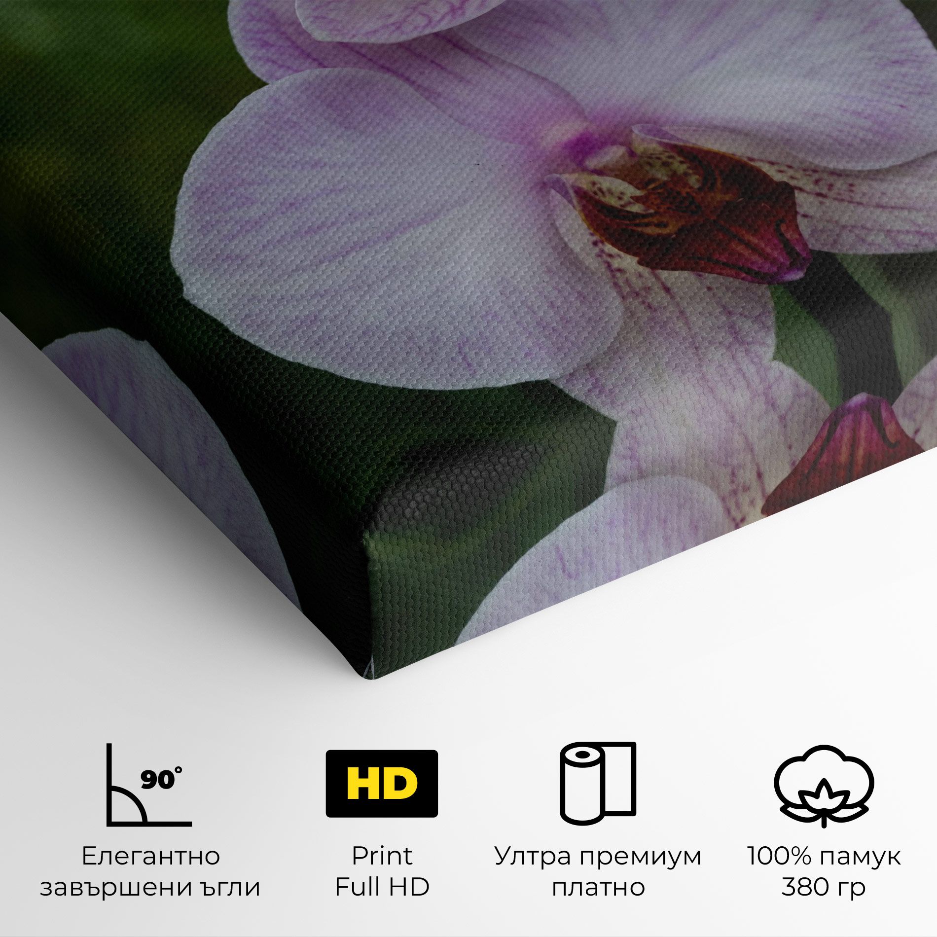 Garden Light Purple Orchid mockup 4
