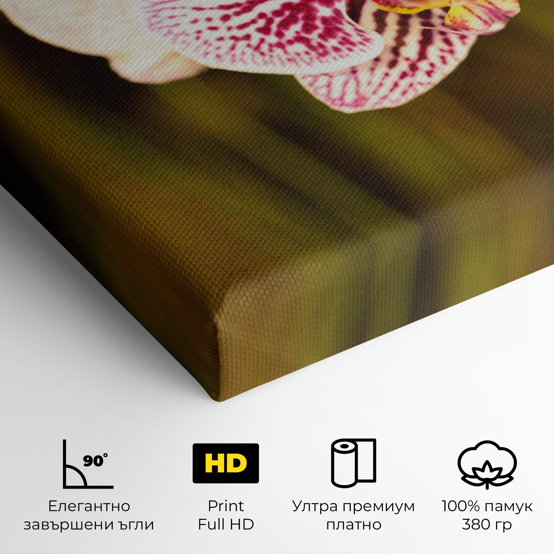 Garden Orchids mockup 4