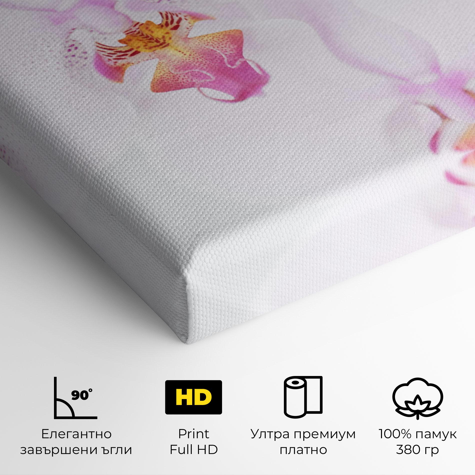 Картина на платно Light Purple Orchid mockup 4
