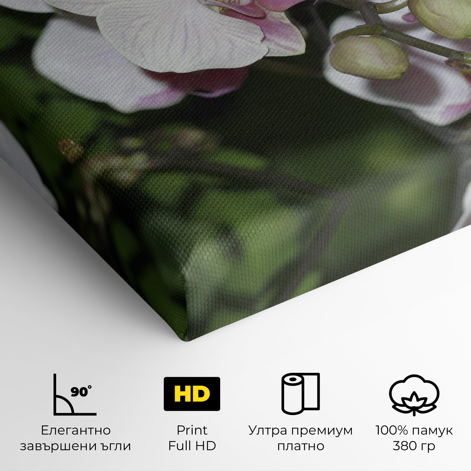 Картина на платно Orchid Botanical Garden mockup 4