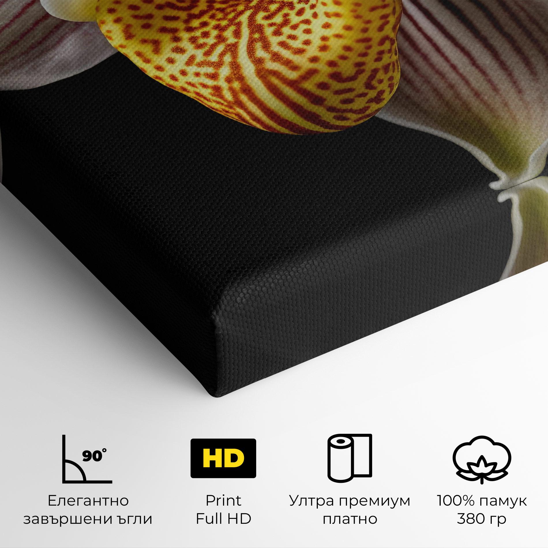Картина на платно Orchid On Black mockup 4