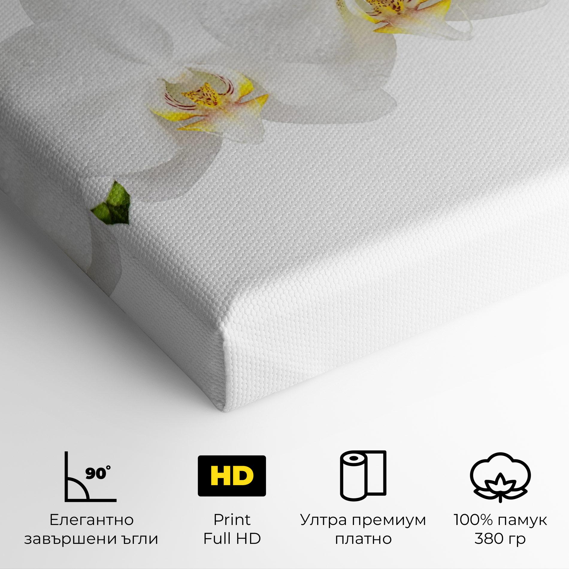 Картина на платно Orchids On White mockup 4