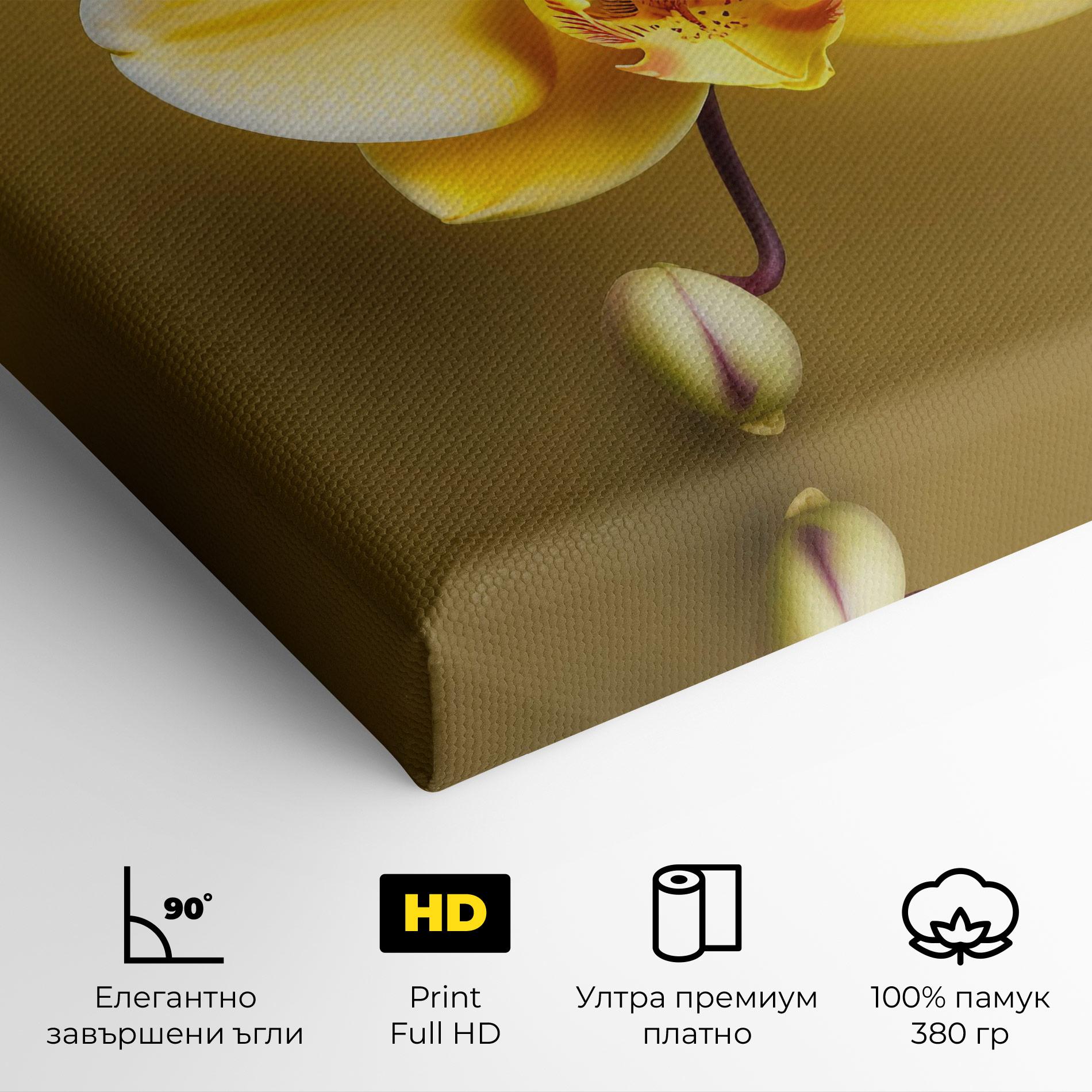 Картина на платно Pastel Yellow Orchid mockup 4