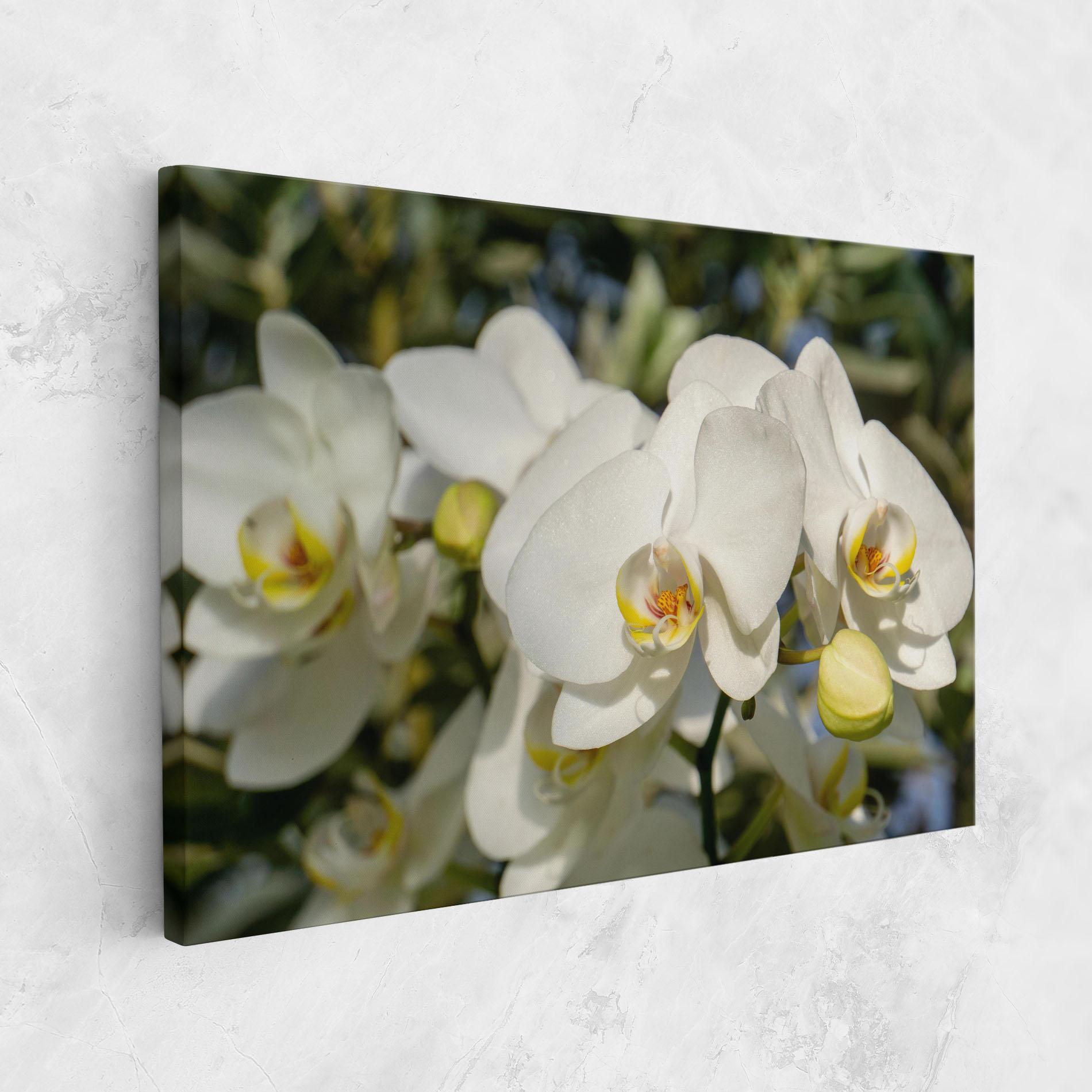 Картина на платно Big Orchids In Nature mockup 1