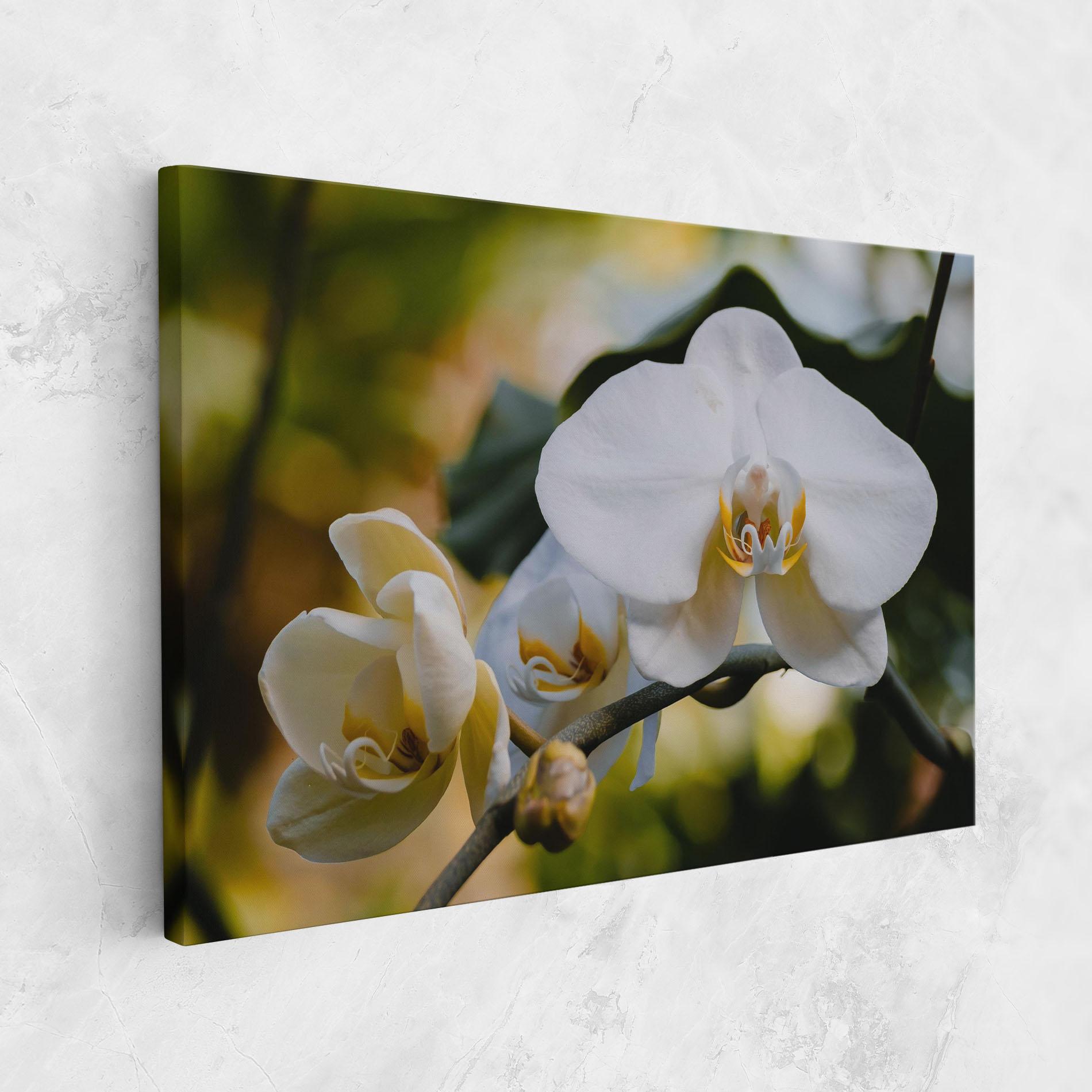Картина на платно Cream Orchid In Nature mockup 1