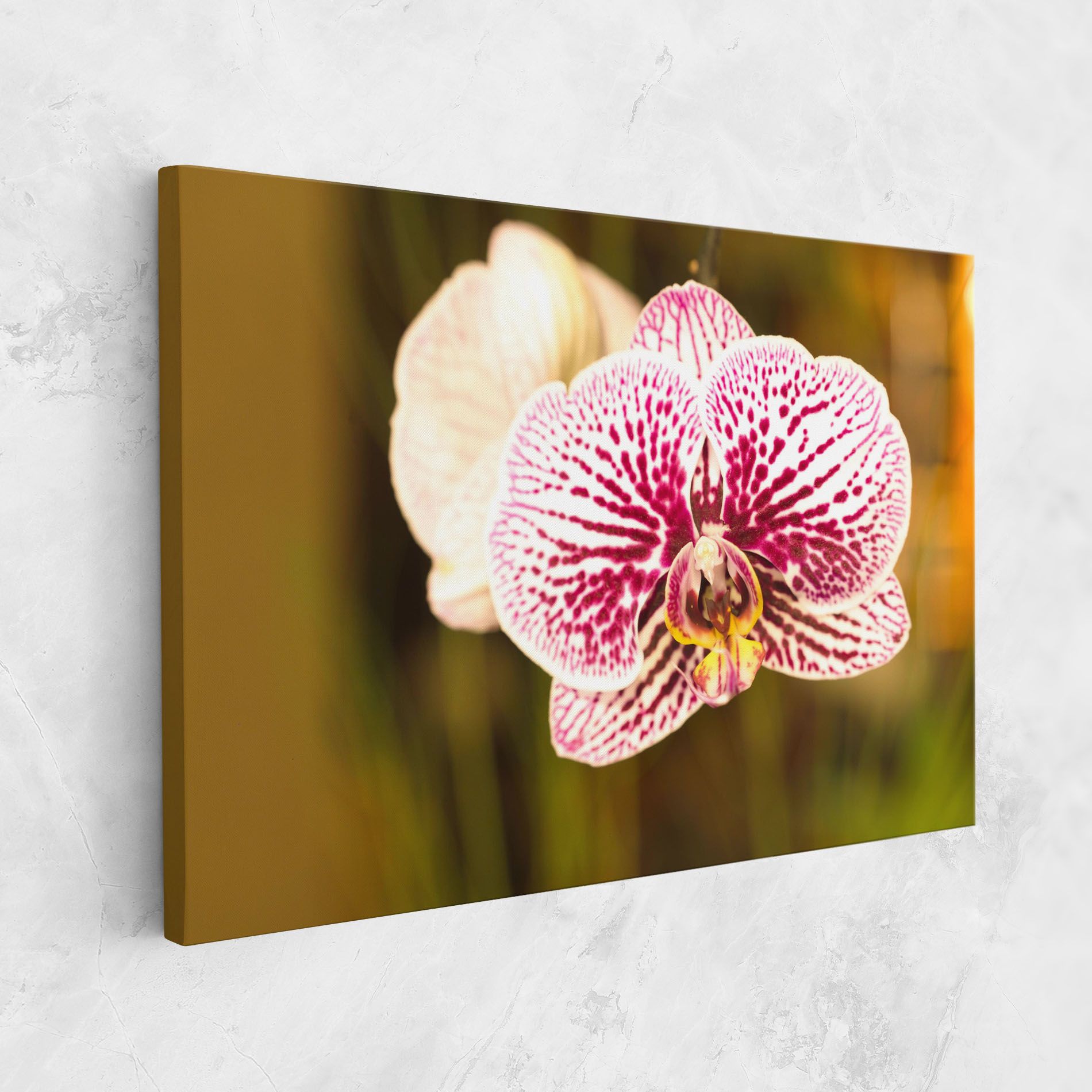 Garden Orchids mockup 1