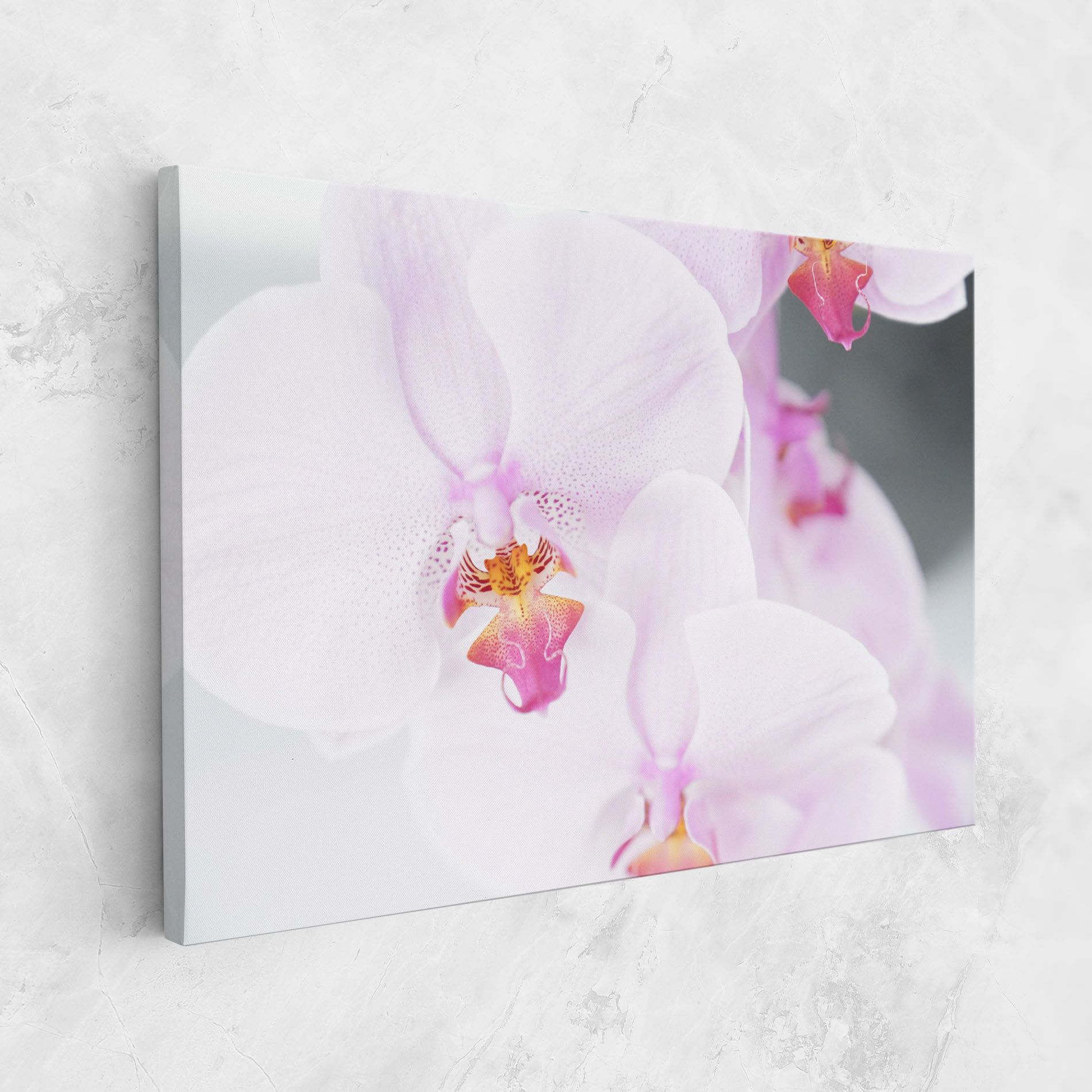 Light Purple Orchid mockup 1